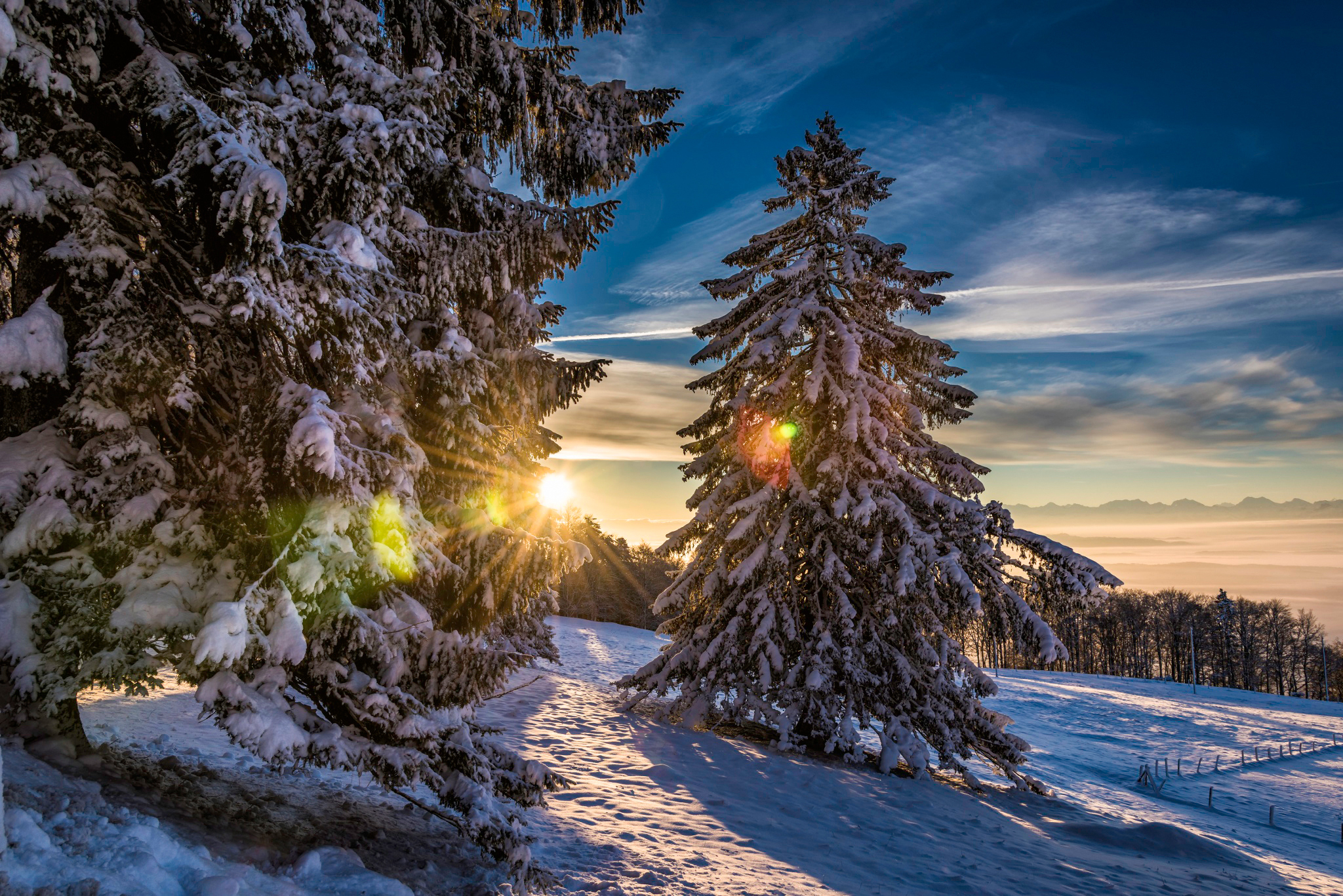 Baixe gratuitamente a imagem Inverno, Terra/natureza, Brilho Do Sol na área de trabalho do seu PC