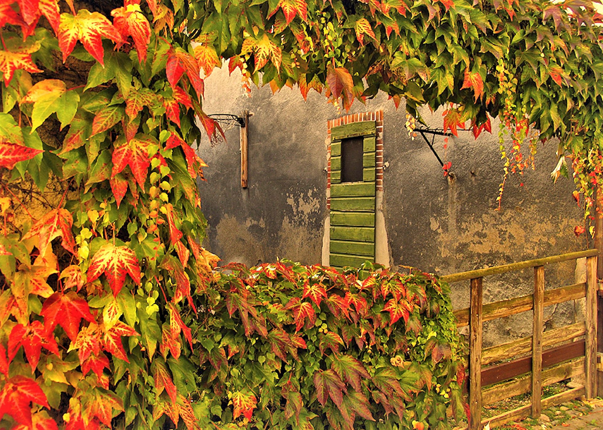 Free download wallpaper Leaf, Fall, Fence, Painting, Artistic, Door on your PC desktop
