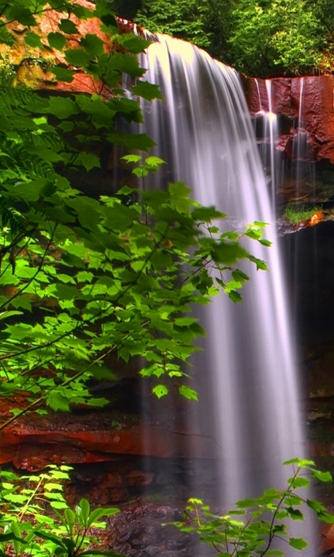 Handy-Wallpaper Natur, Wasserfälle, Wasserfall, Baum, Erde/natur kostenlos herunterladen.