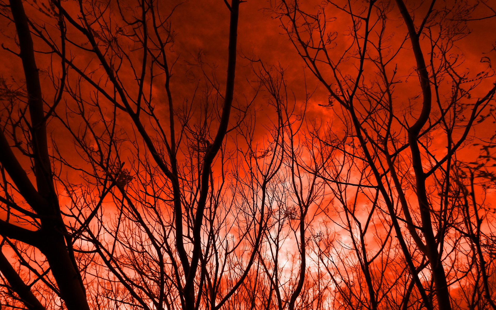 Laden Sie das Himmel, Erde/natur-Bild kostenlos auf Ihren PC-Desktop herunter