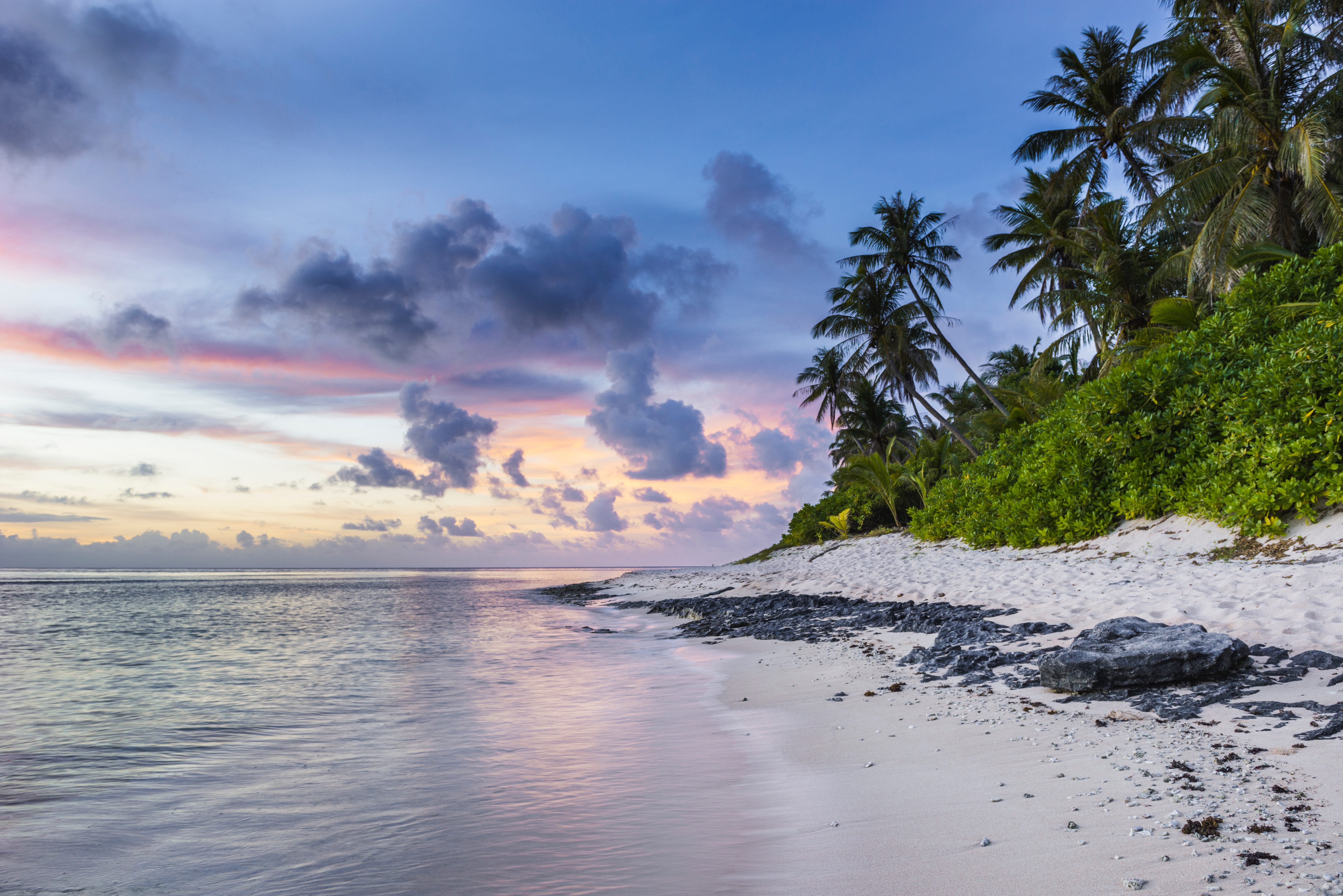 Laden Sie das Sand, Ozean, Natur, Palms, Strand-Bild kostenlos auf Ihren PC-Desktop herunter