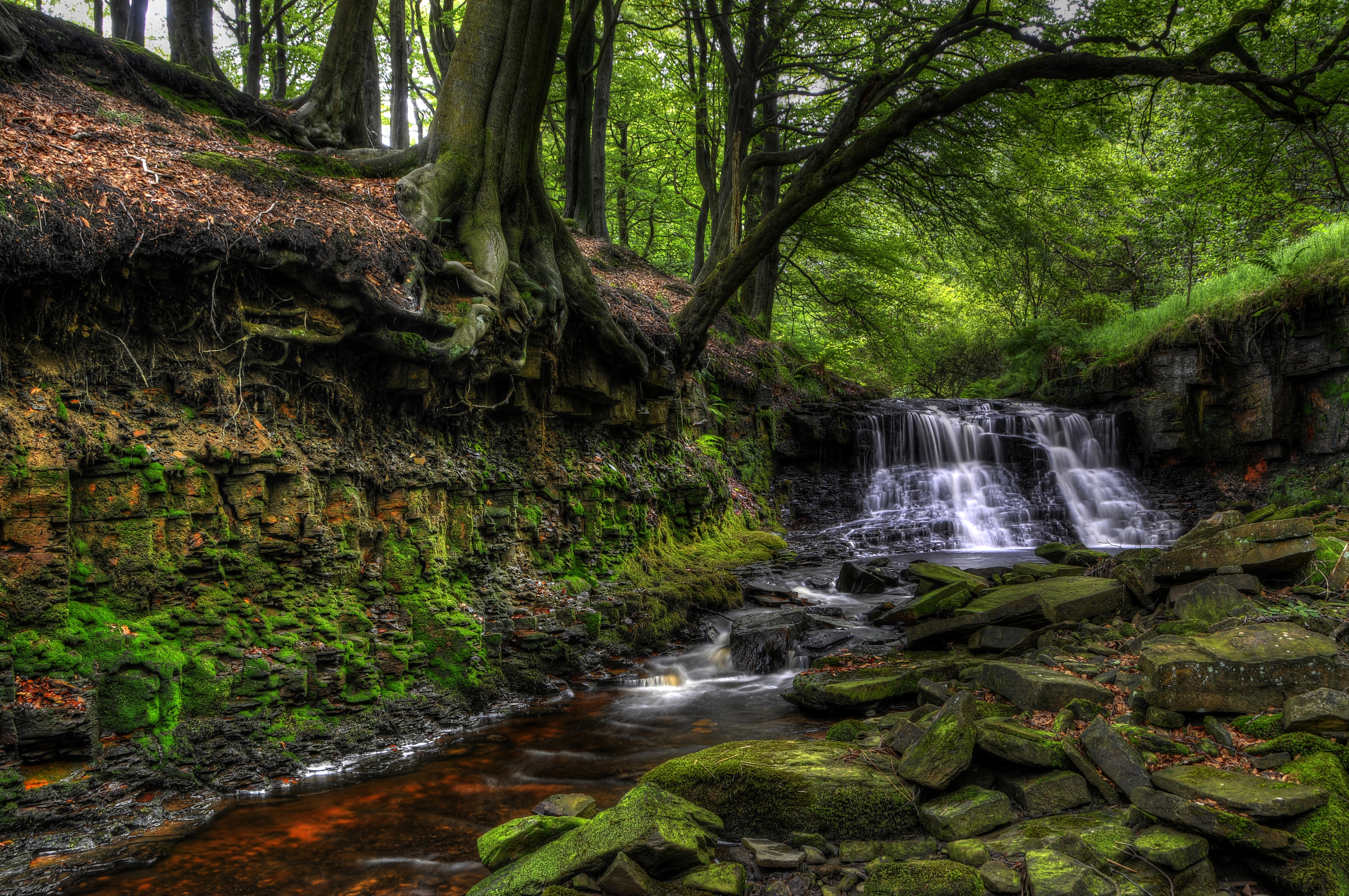 Descarga gratuita de fondo de pantalla para móvil de Naturaleza, Cascadas, Cascada, Chorro, Tierra/naturaleza.