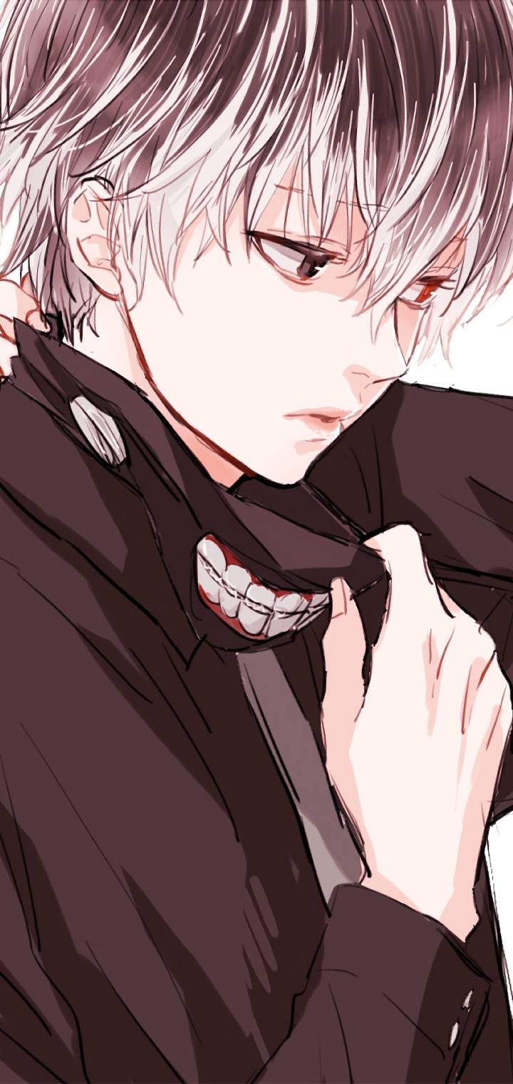 Handy-Wallpaper Heterochromie, Animes, Zweifarbiges Haar, Tokyo Ghoul: Re, Ken Kanek, Haise Sasaki kostenlos herunterladen.