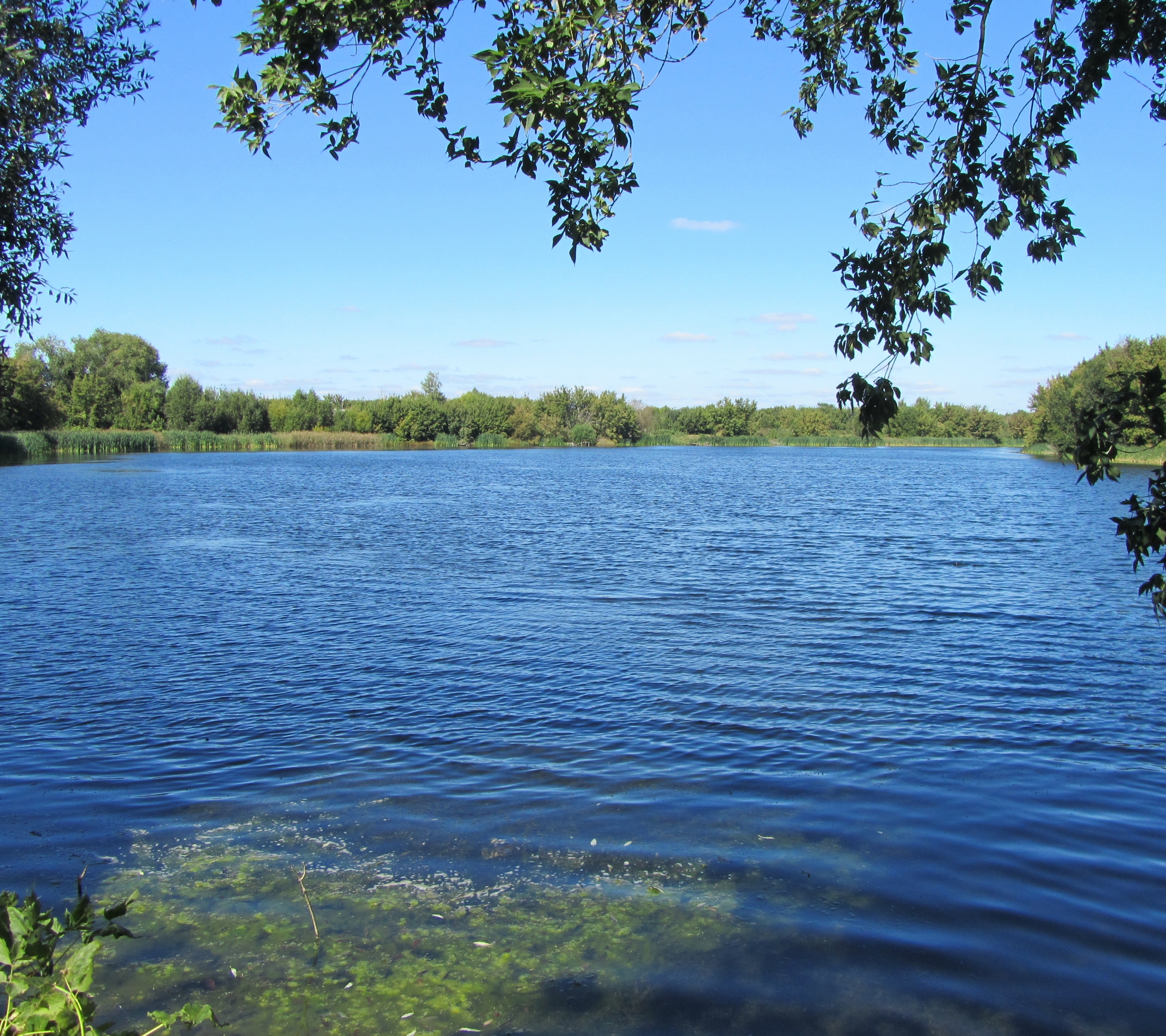 Baixar papel de parede para celular de Lagos, Lago, Terra/natureza gratuito.