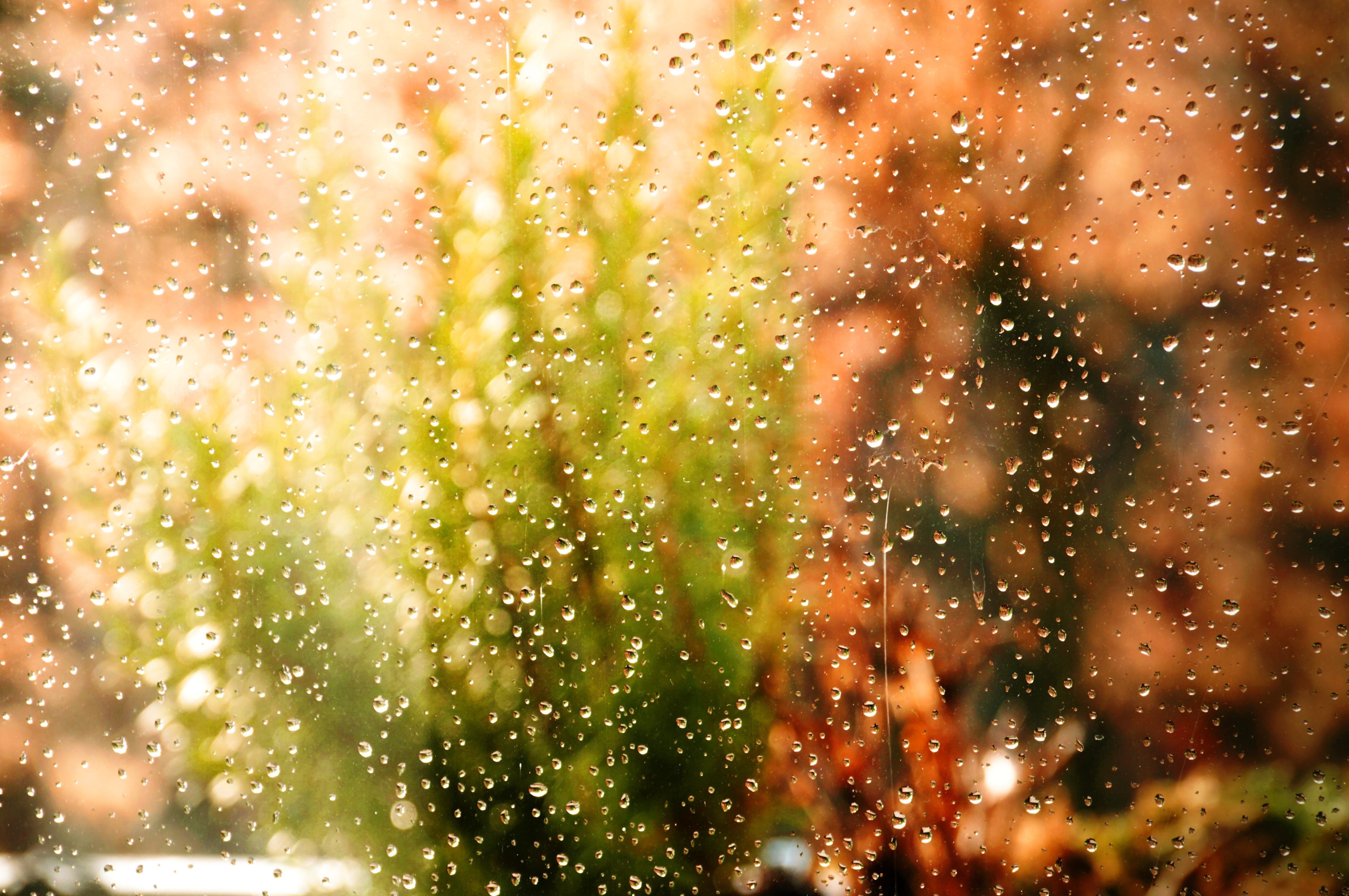 Download mobile wallpaper Smooth, Glare, Drops, Miscellaneous, Wet, Water, Miscellanea, Glass, Blur for free.
