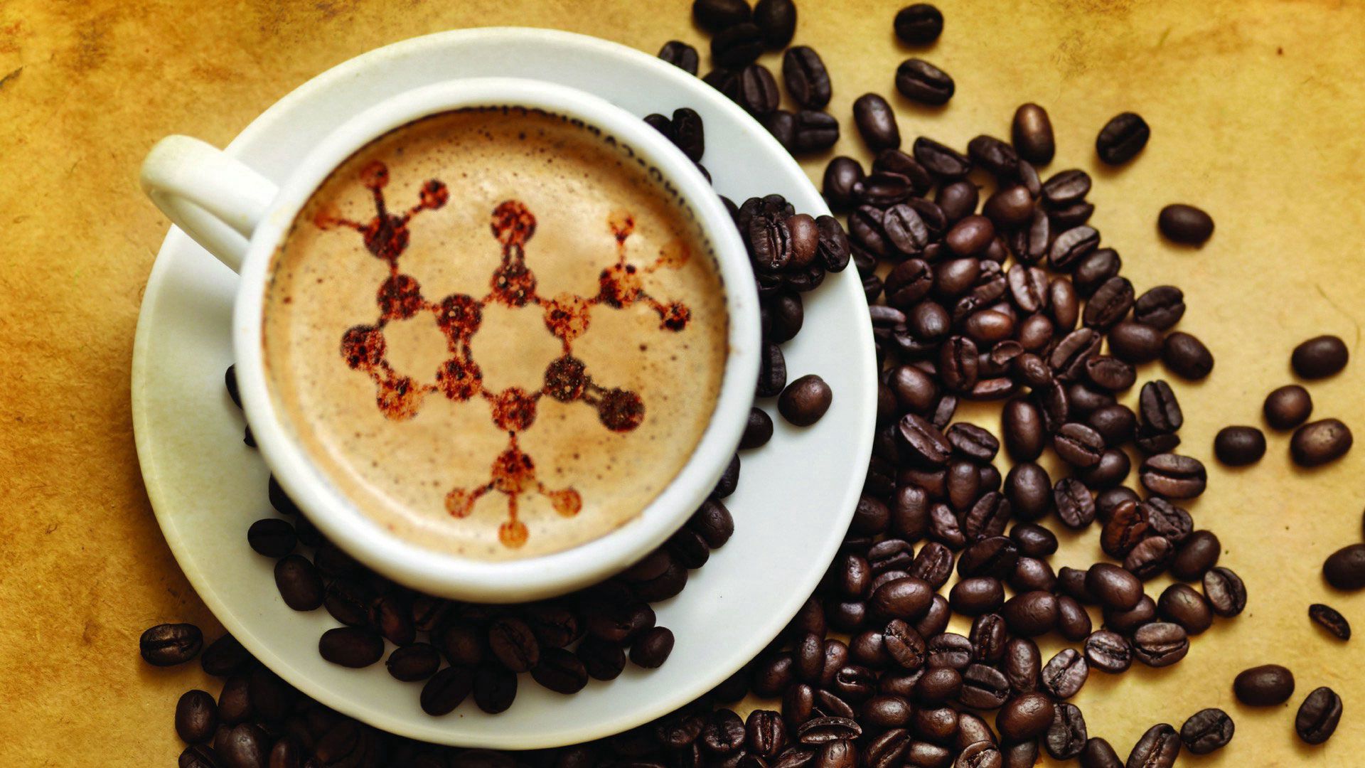 food, coffee, cup, foam, grains, meerschaum, grain, molecules