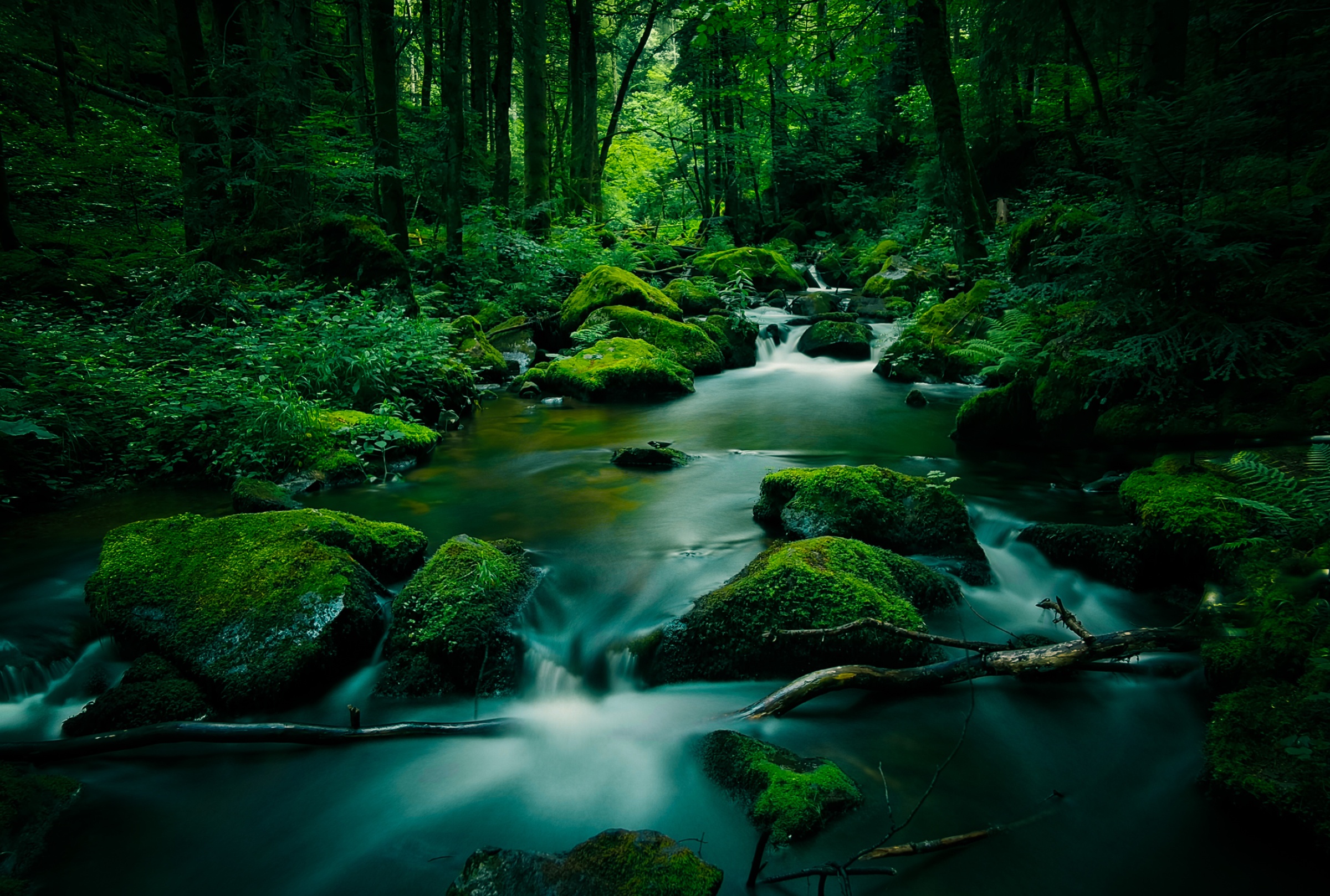Download mobile wallpaper Forest, Earth, Stone, Moss, River, Greenery for free.