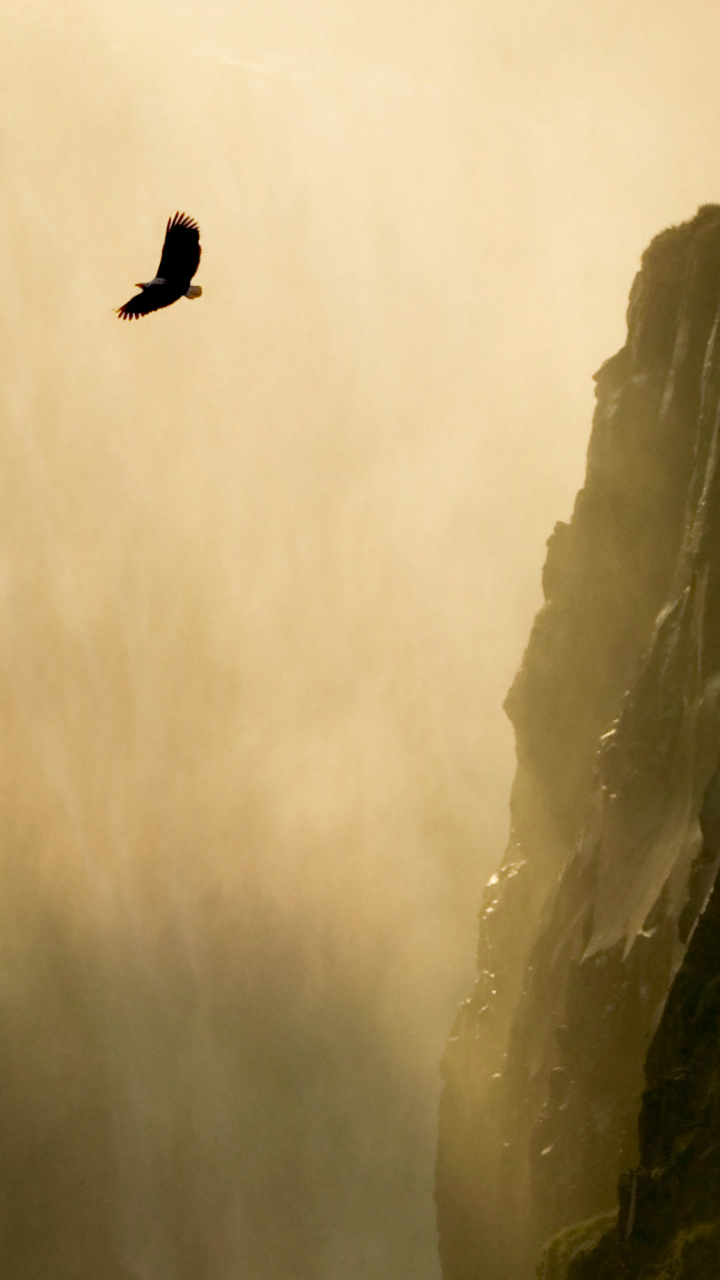 Descarga gratuita de fondo de pantalla para móvil de Cascadas, Cascada, Tierra/naturaleza.