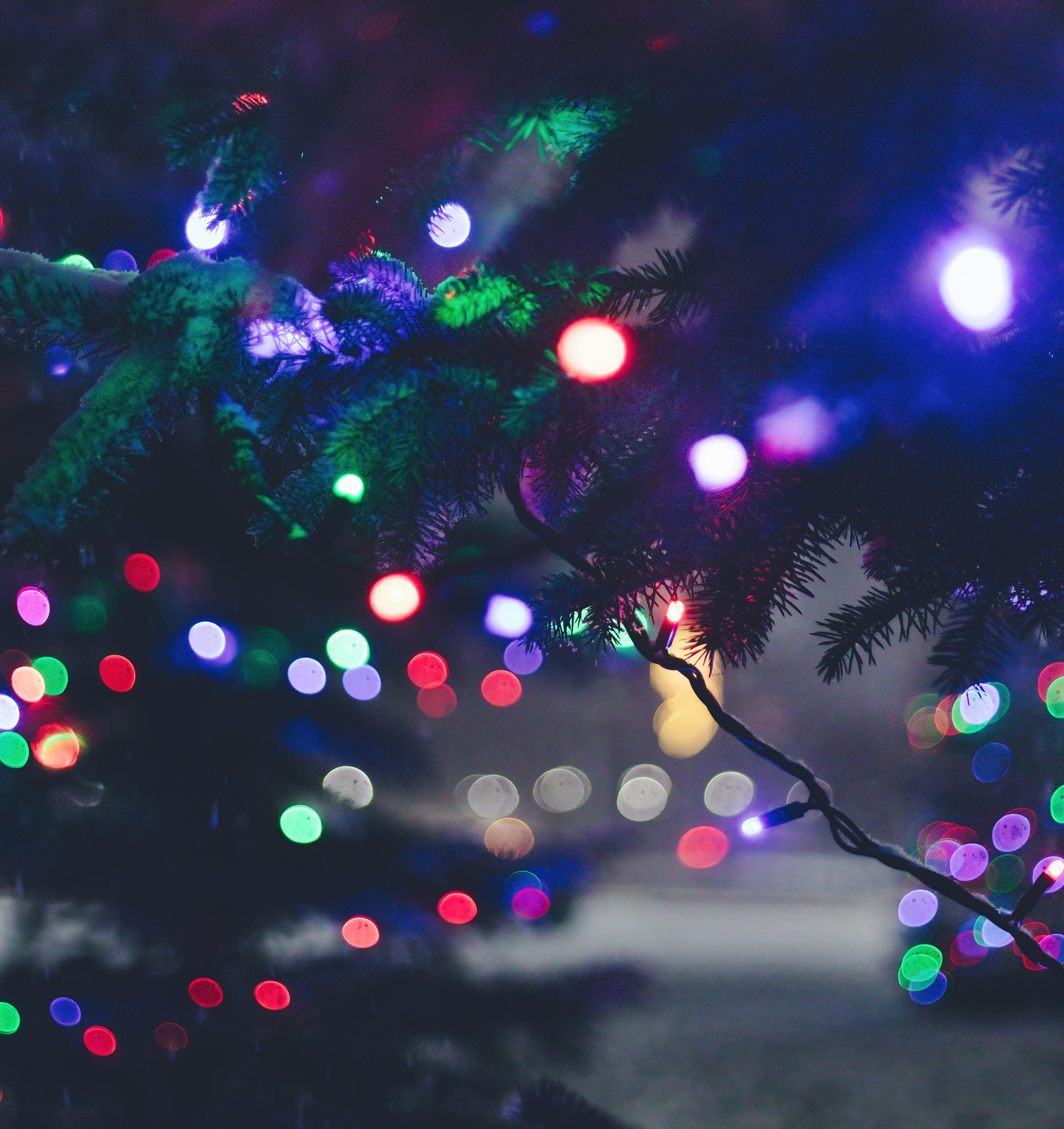 Handy-Wallpaper Lichter, Die Lichter, Girlande, Neues Jahr, Garland, Feiertage, Neujahr, Blendung, Weihnachtsbaum, Weihnachten kostenlos herunterladen.