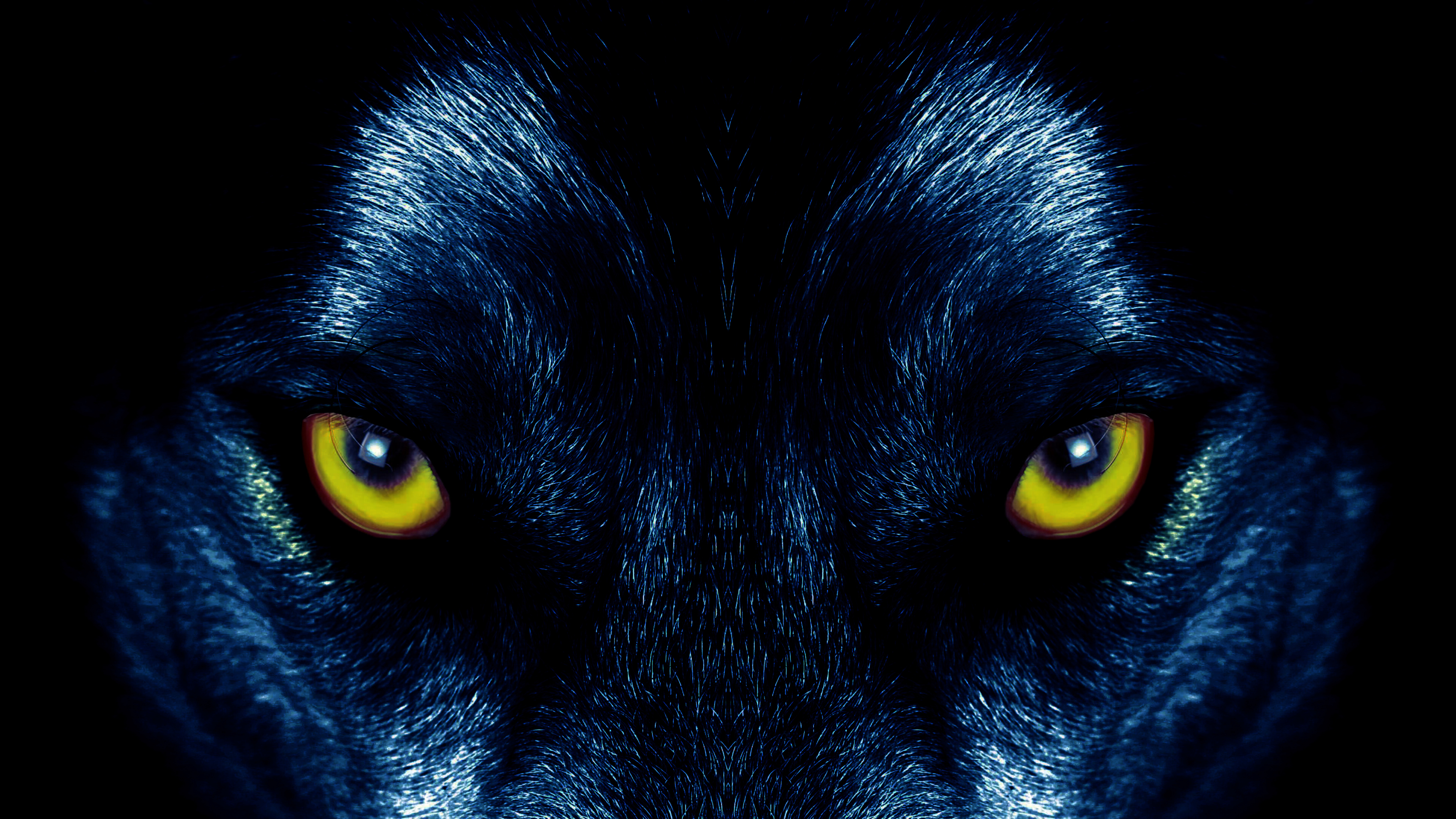 128129 скачать картинку волк, хищник, взгляд, глаза, животные - обои и заставки бесплатно