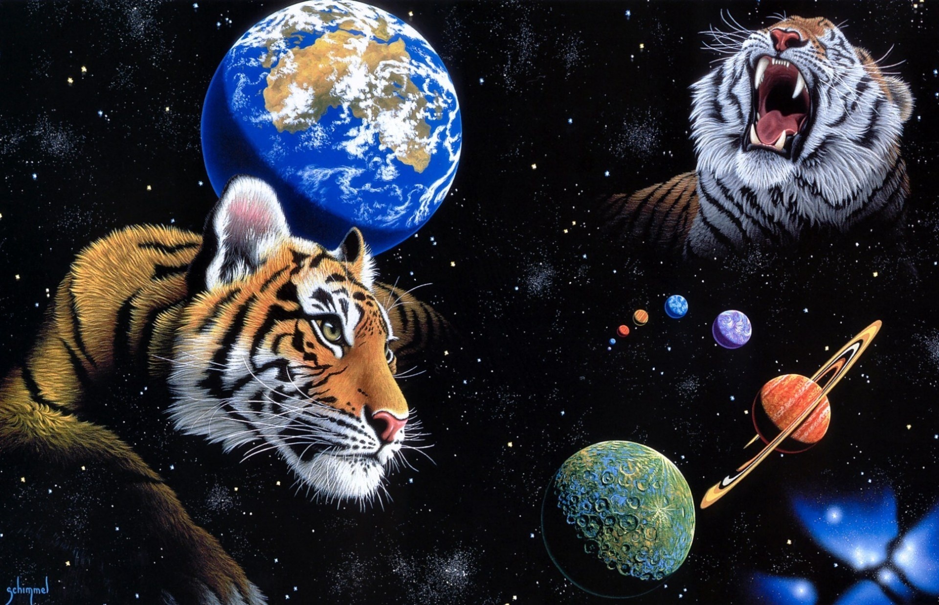 Descarga gratuita de fondo de pantalla para móvil de Planeta, Gatos, Animales, Tigre.