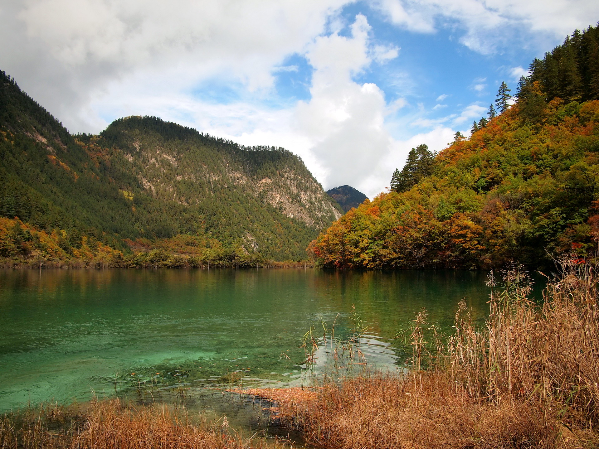 Handy-Wallpaper Landschaft, Herbst, Wald, Fluss, Gebirge, Szene, Erde/natur kostenlos herunterladen.