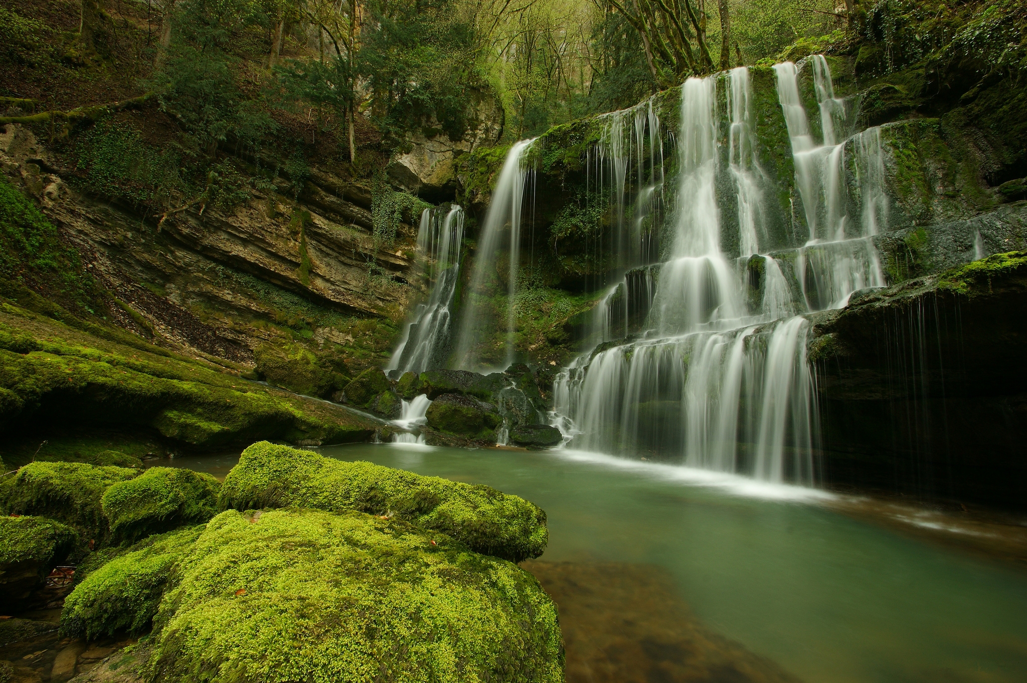 Скачать картинку Водопады, Водопад, Лес, Зеленый, Мох, Земля/природа в телефон бесплатно.