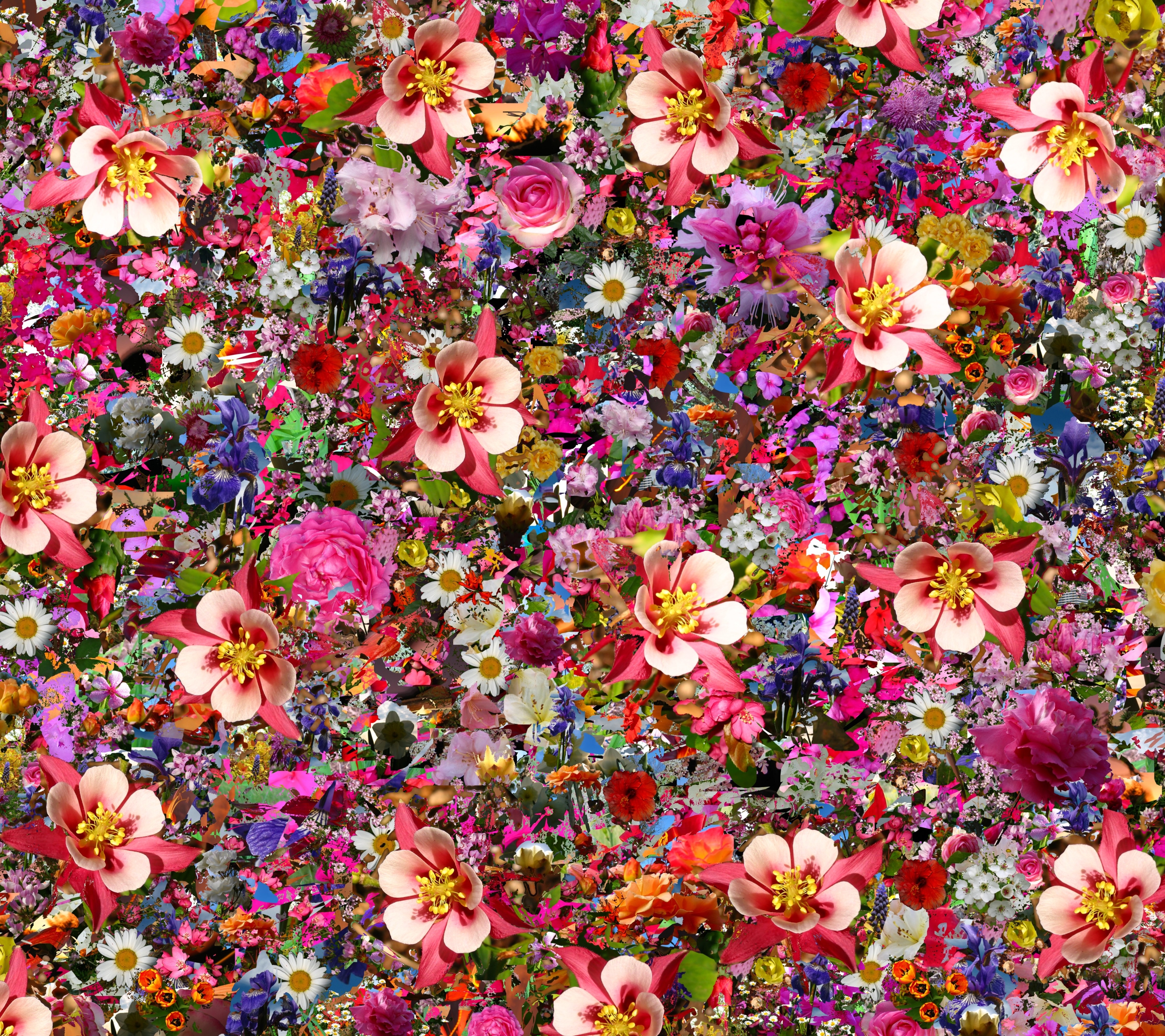 Download mobile wallpaper Flowers, Flower, Colors, Colorful, Artistic for free.