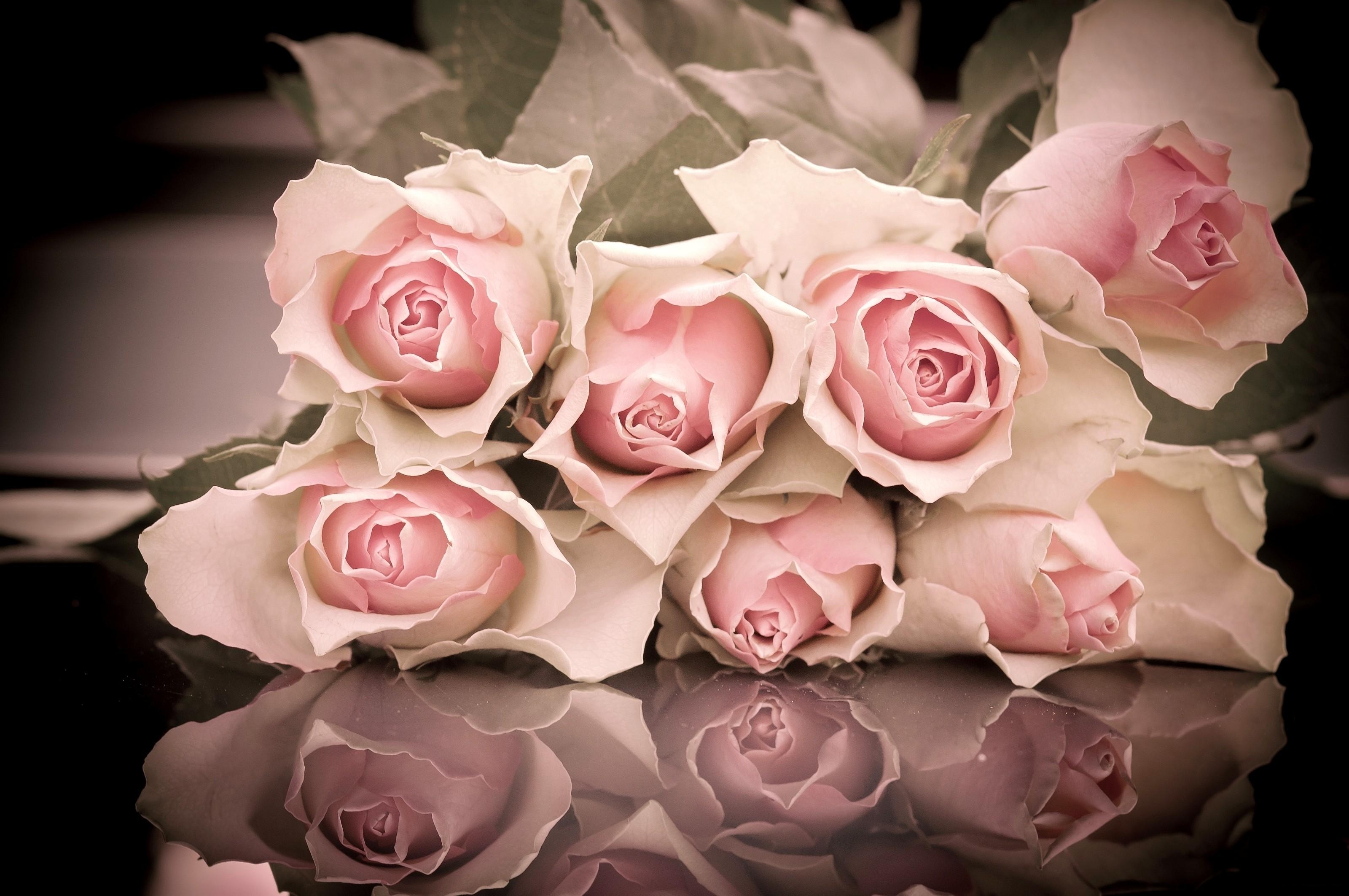 Free download wallpaper Flowers, Roses, Reflection, To Lie Down, Lie, Bouquet on your PC desktop