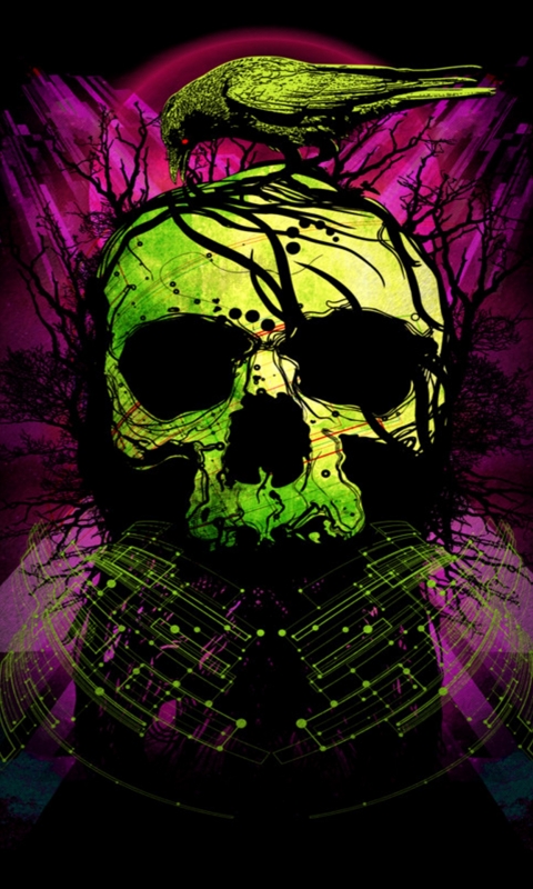 Download mobile wallpaper Dark, Skull for free.