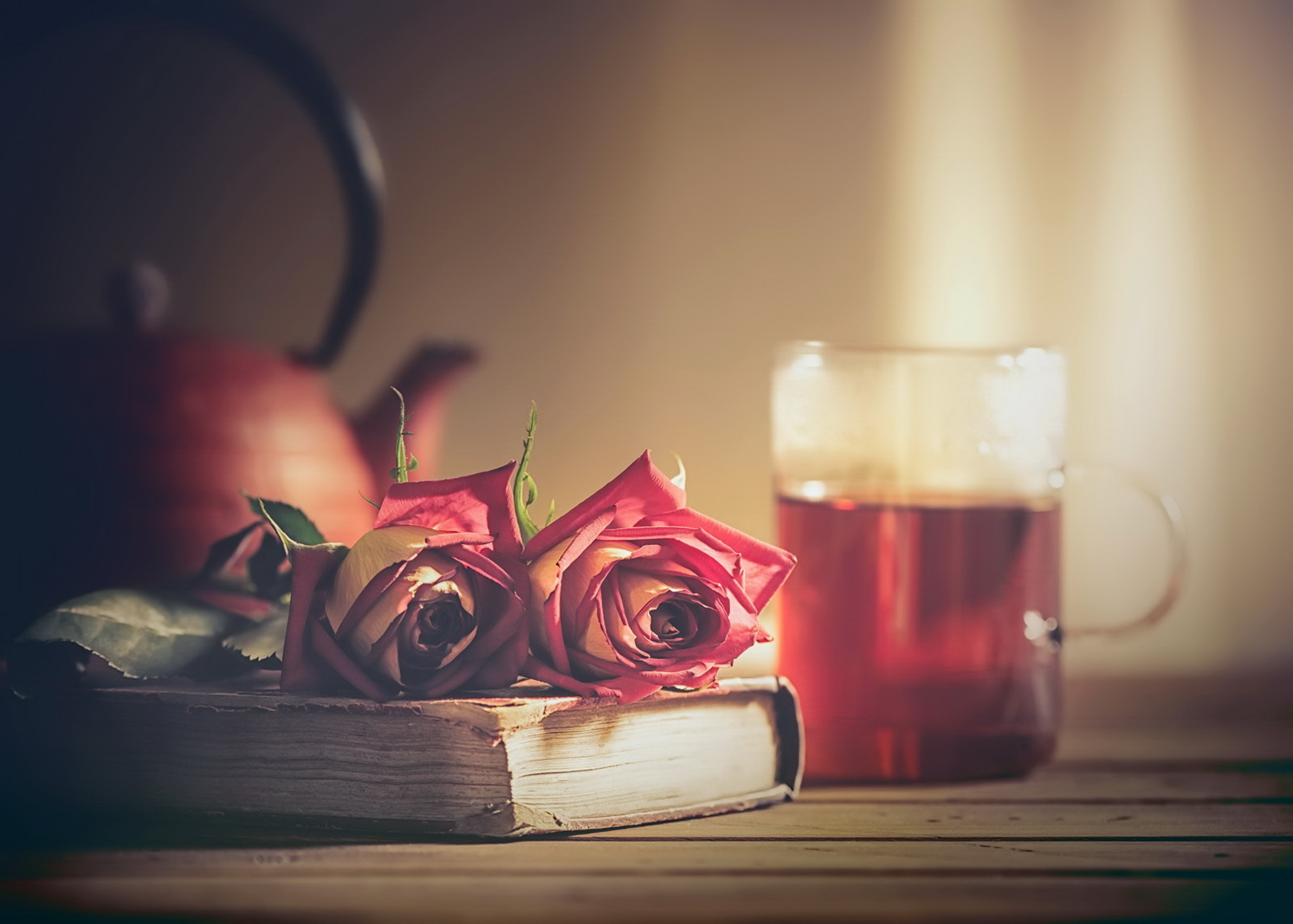 Download mobile wallpaper Still Life, Rose, Blur, Book, Tea, Photography for free.