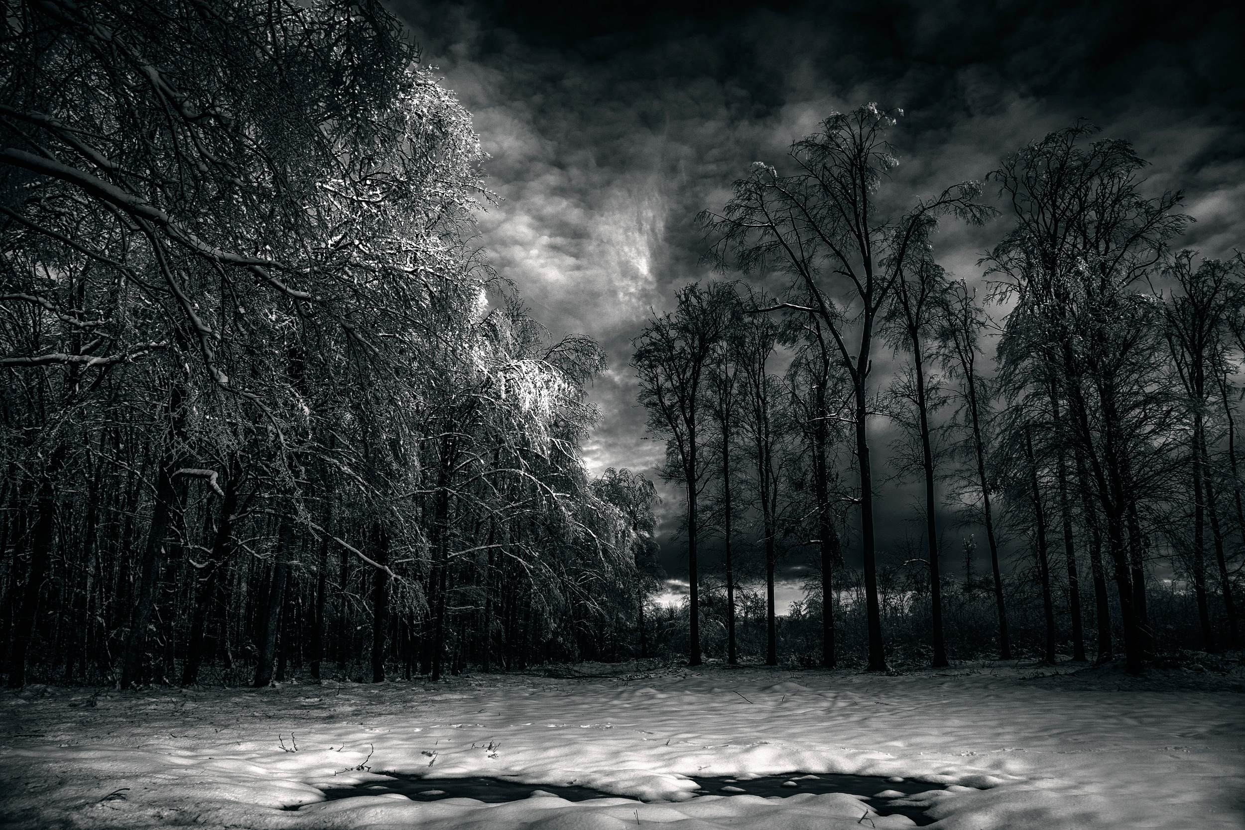 Free download wallpaper Winter, Sky, Night, Snow, Tree, Earth, Cloud, Black & White on your PC desktop
