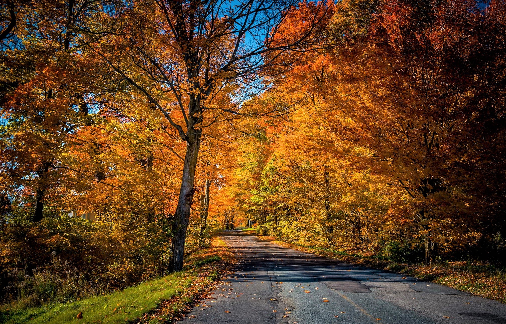 Free download wallpaper Road, Fall, Man Made on your PC desktop