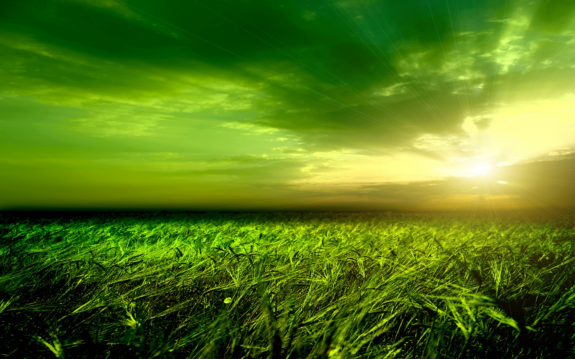 Free download wallpaper Earth, Field on your PC desktop