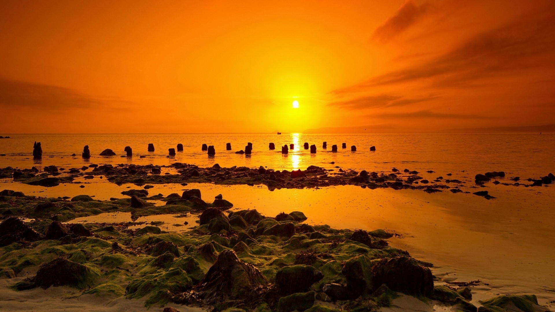 Free download wallpaper Sunset, Sea, Ocean, Earth on your PC desktop