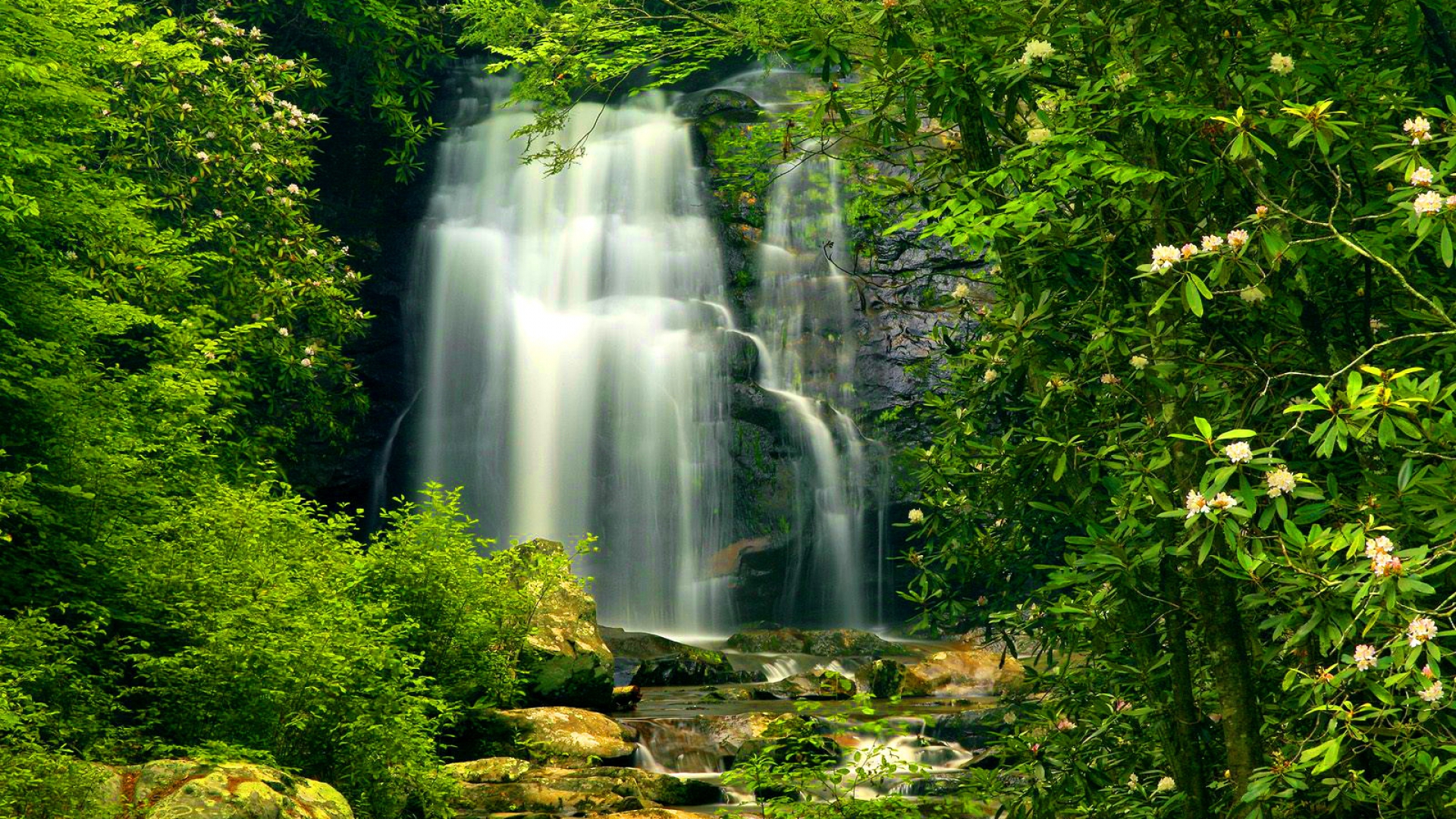 Скачать картинку Зеленый, Водопад, Водопады, Лес, Природа, Земля/природа в телефон бесплатно.