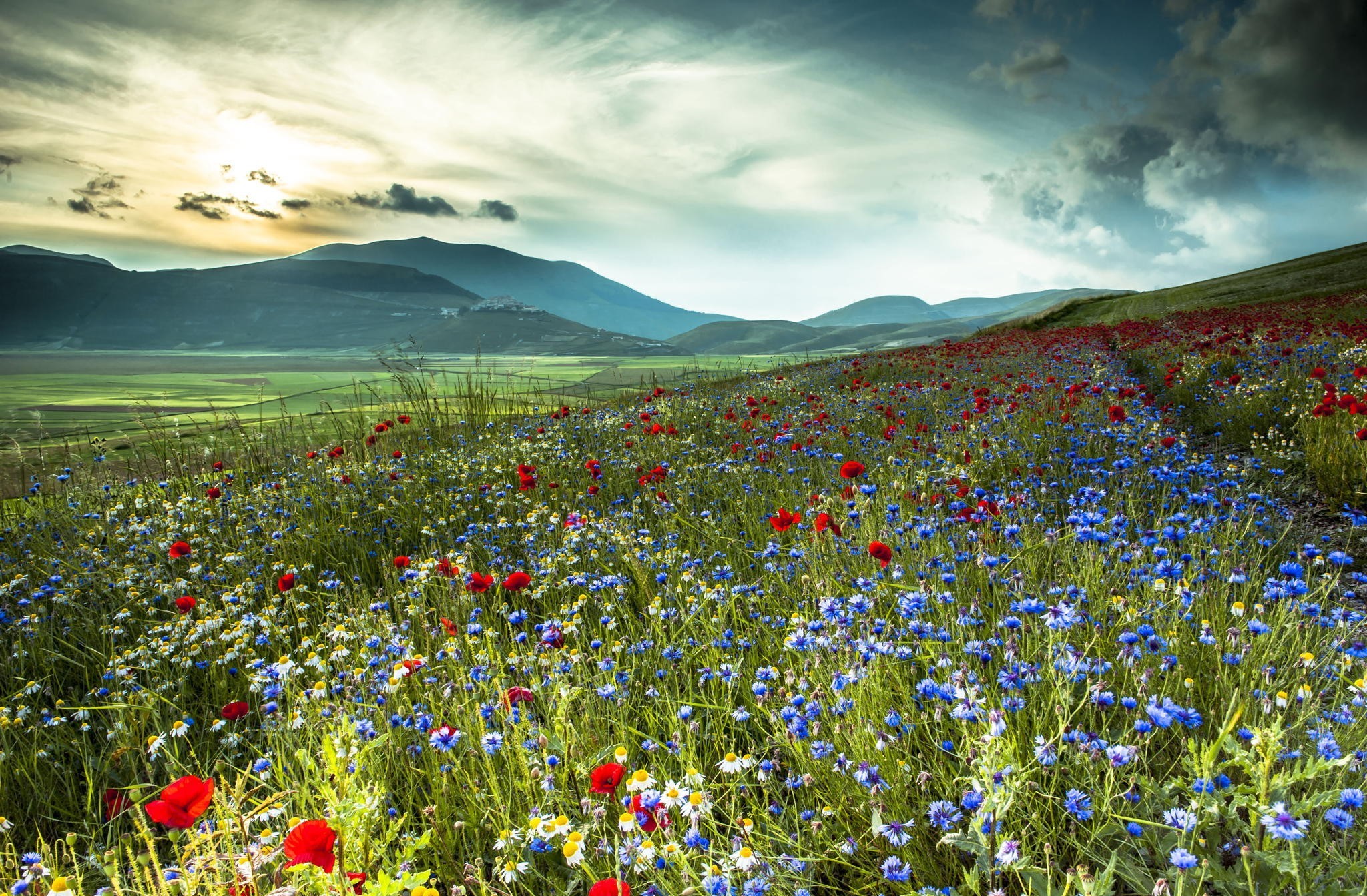 Handy-Wallpaper Blume, Feld, Gebirge, Erde/natur kostenlos herunterladen.