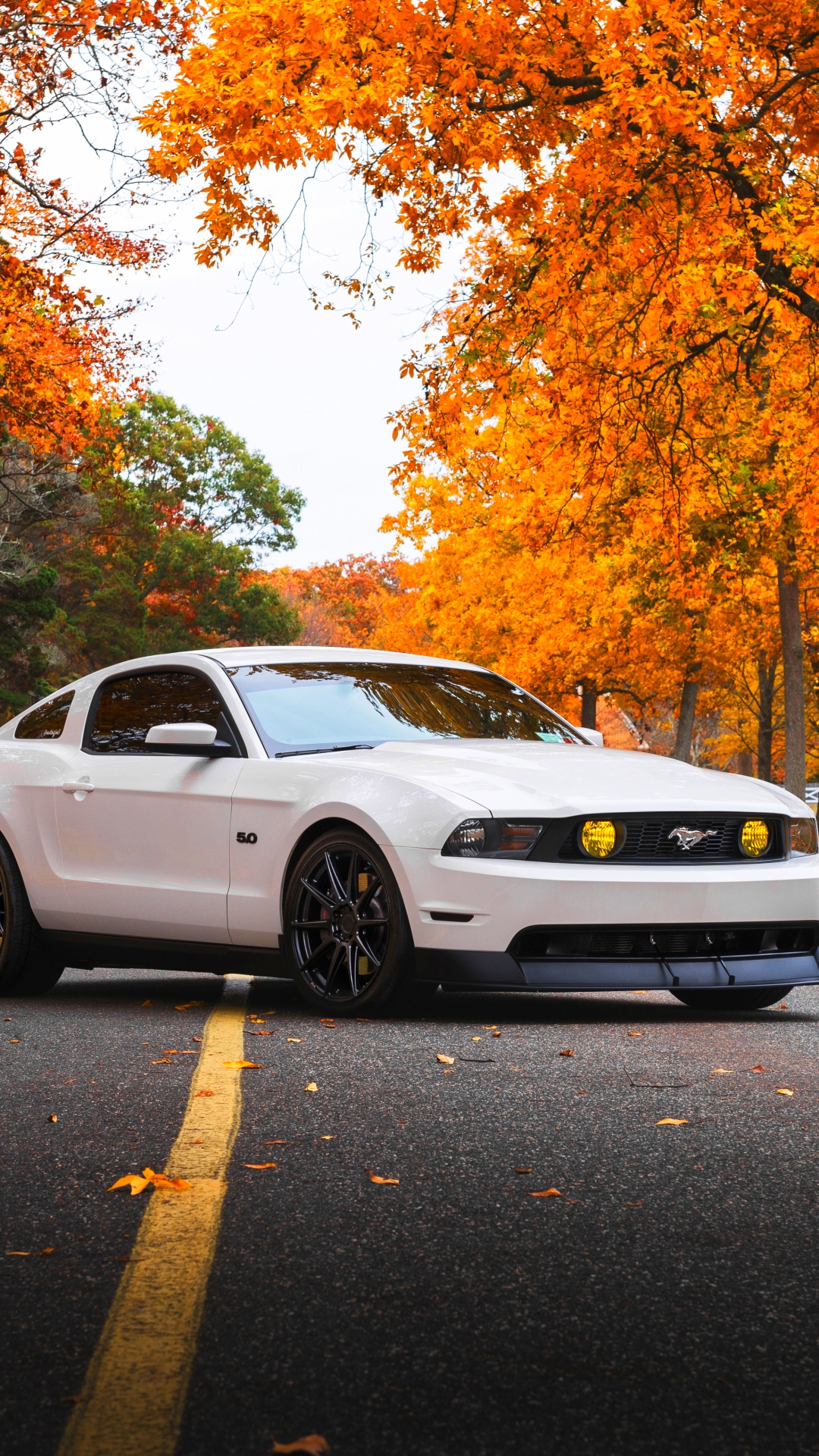 Download mobile wallpaper Ford, Car, Ford Mustang, Muscle Car, Vehicle, Vehicles, White Car for free.