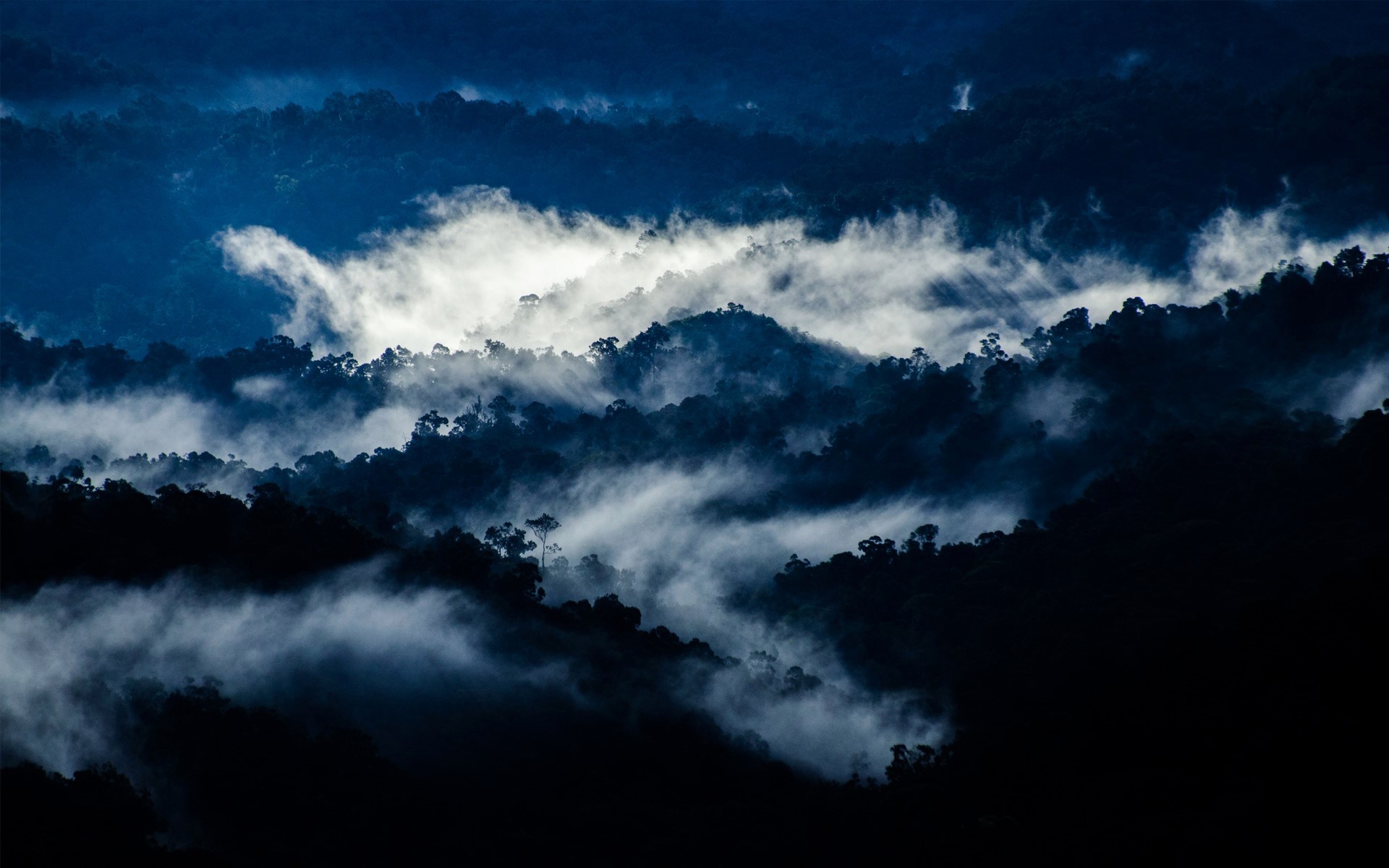 Handy-Wallpaper Landschaft, Natur, Nebel, Erde/natur kostenlos herunterladen.