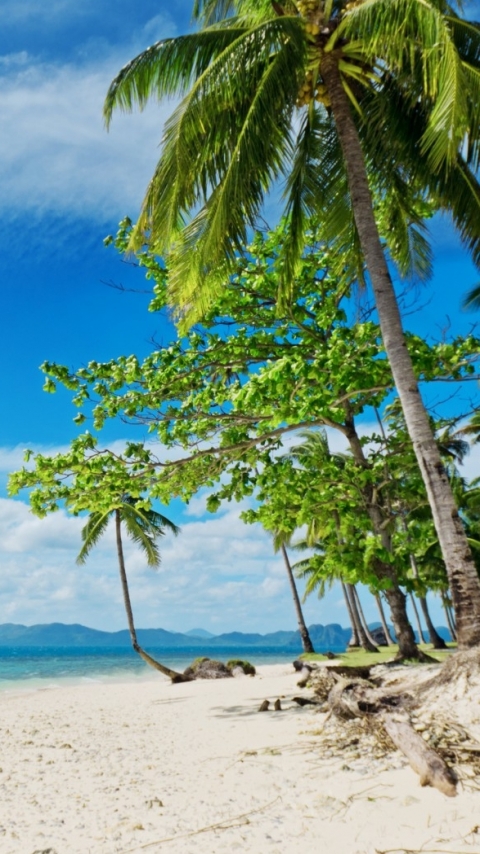 Descarga gratuita de fondo de pantalla para móvil de Playa, Tierra/naturaleza.