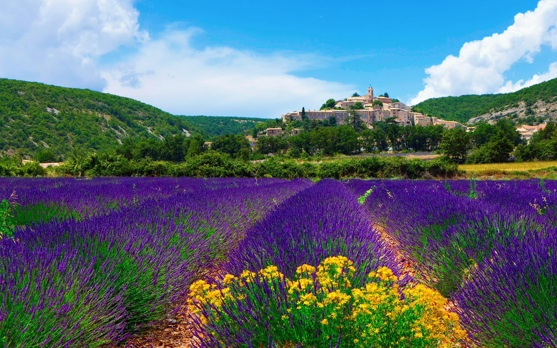 Die besten Provence-Hintergründe für den Telefonbildschirm