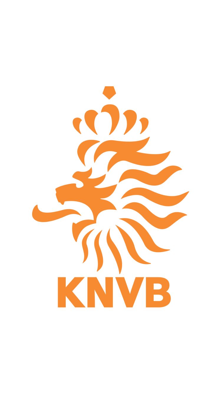 Download mobile wallpaper Sports, Lion, Netherlands, Soccer, Netherlands National Football Team for free.