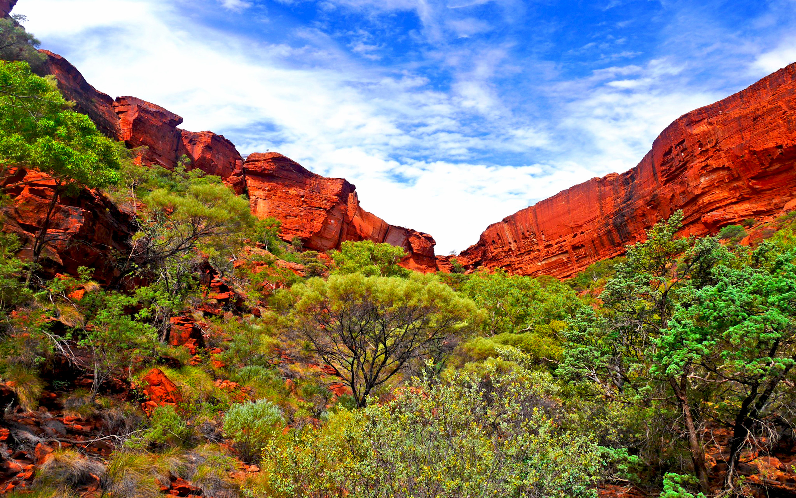 Téléchargez des papiers peints mobile Canyon, Arbre, Canyons, Australie, Terre/nature, Parc National De Kings Canyon gratuitement.