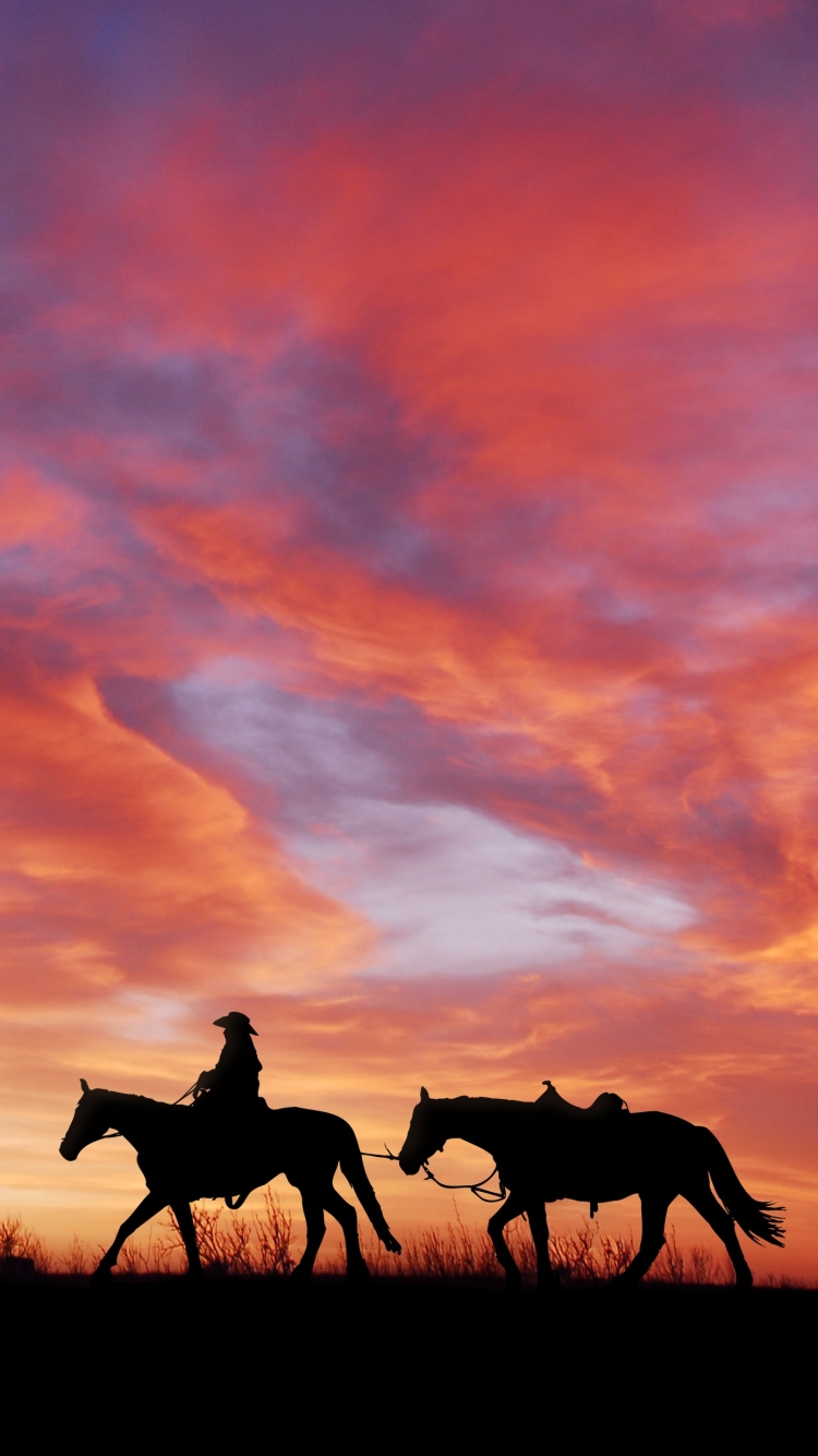 Descarga gratuita de fondo de pantalla para móvil de Cielo, Silueta, Nube, Caballo, Vaquero, Fotografía, Atardecer, Puesta De Sol.