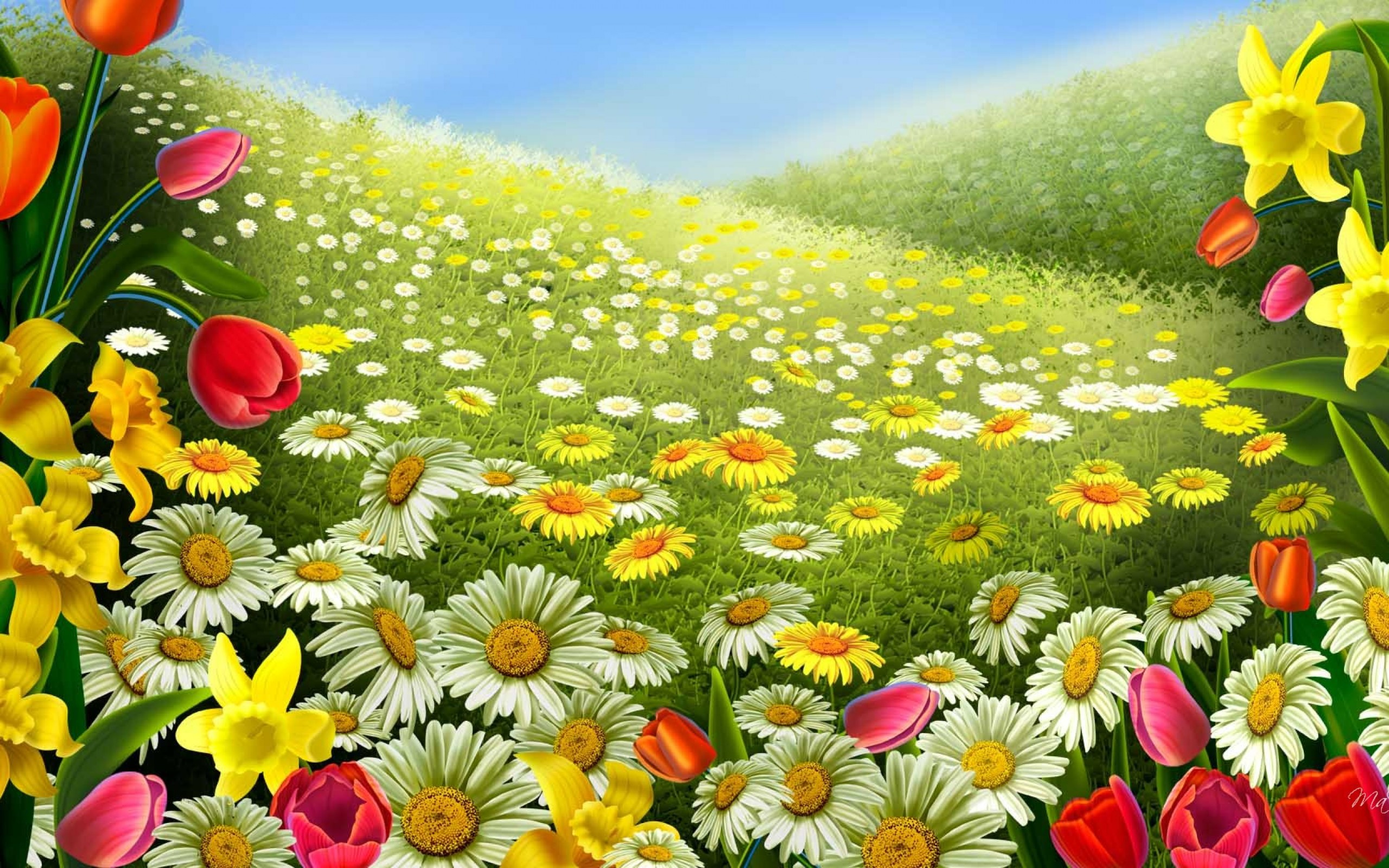 Free download wallpaper Flowers, Flower, Earth, Daisy on your PC desktop