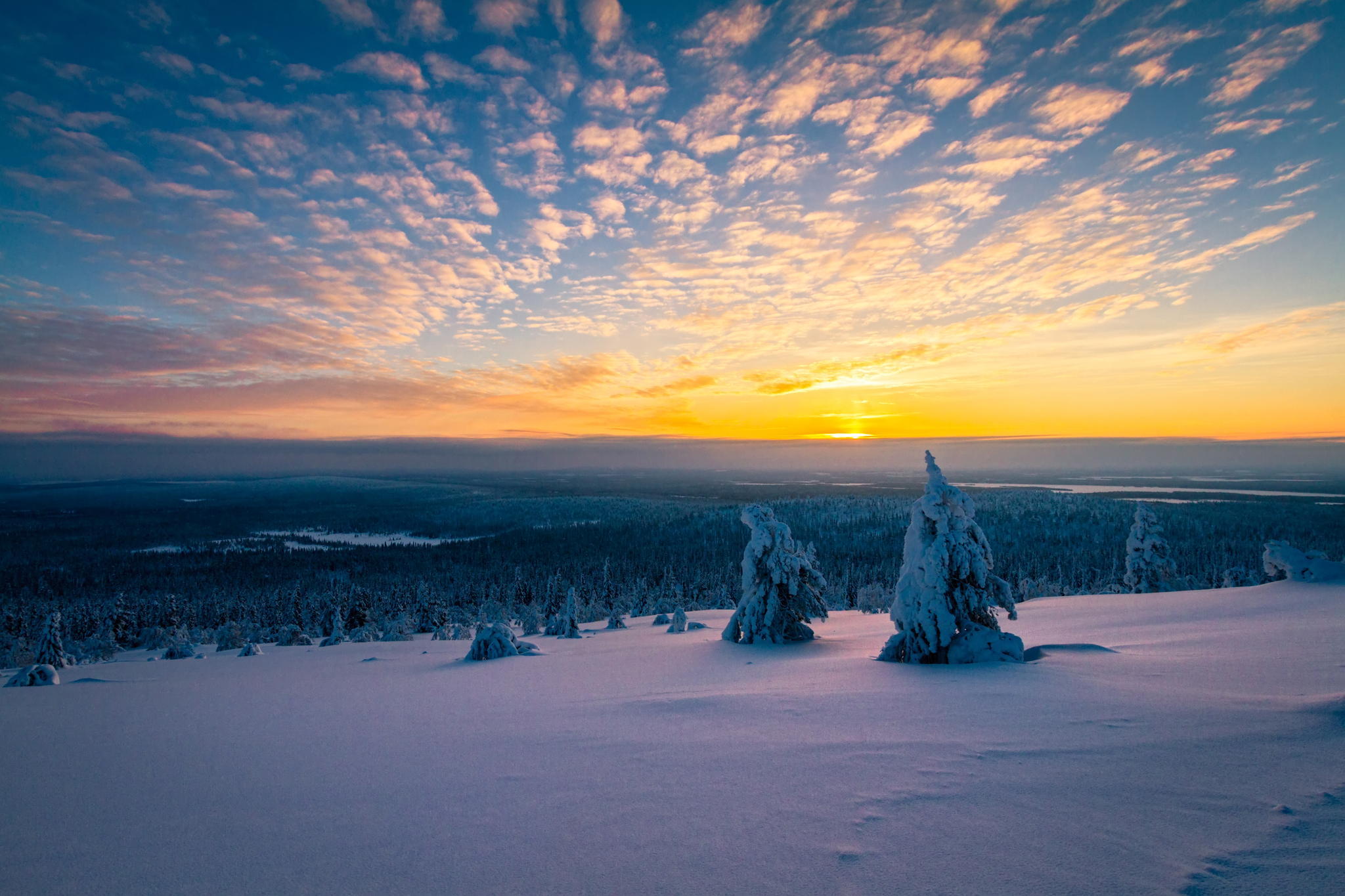 Laden Sie das Landschaft, Winter, Natur, Schnee, Horizont, Wald, Baum, Sonnenaufgang, Wolke, Himmel, Erde/natur-Bild kostenlos auf Ihren PC-Desktop herunter