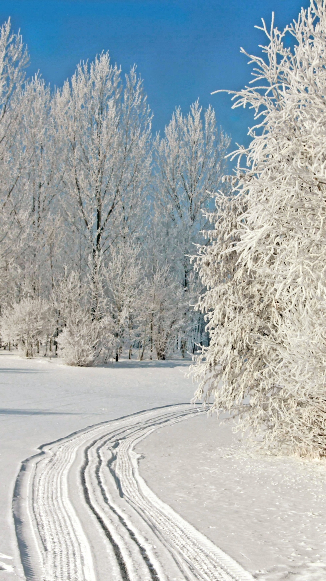 Скачать картинку Зима, Снег, Дерево, Белый, Земля/природа в телефон бесплатно.