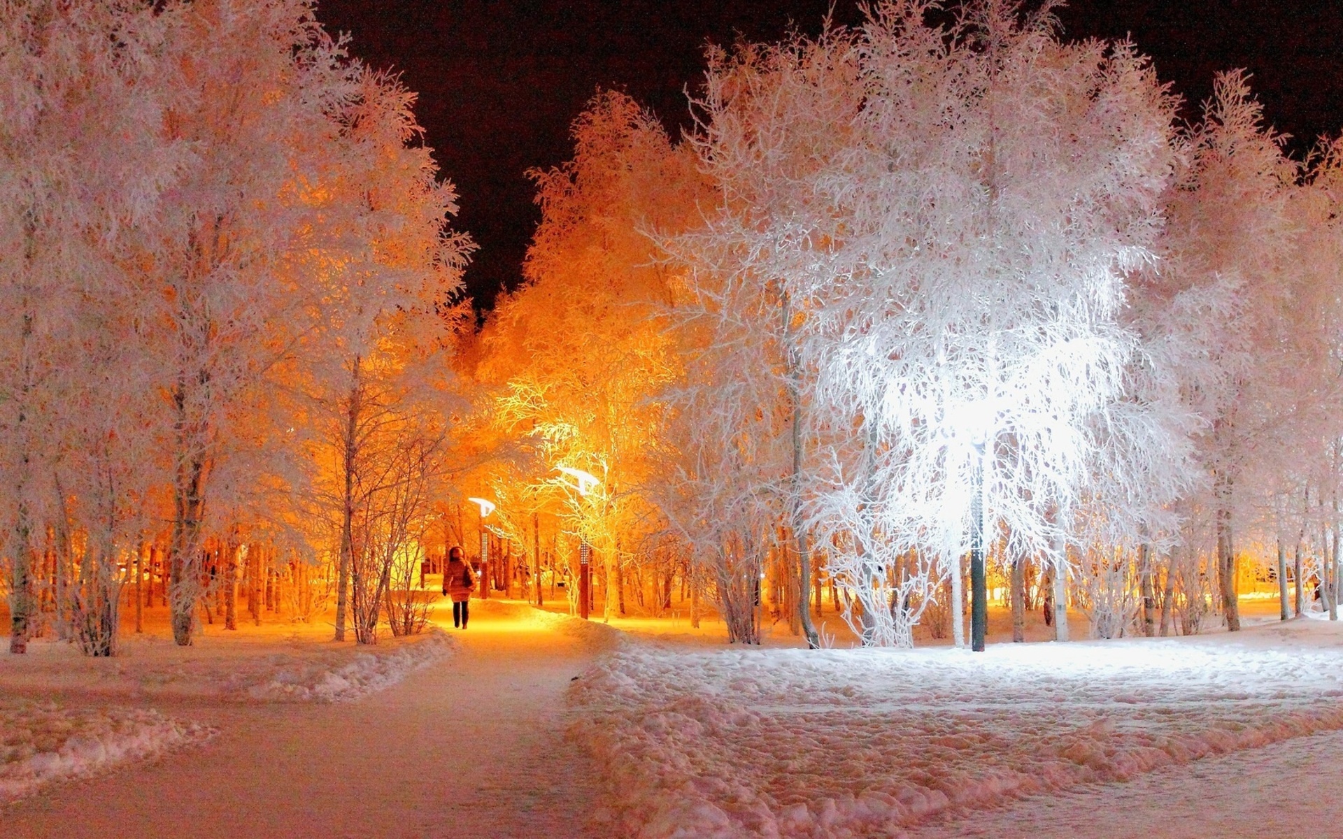 landscape, winter, trees, night, snow