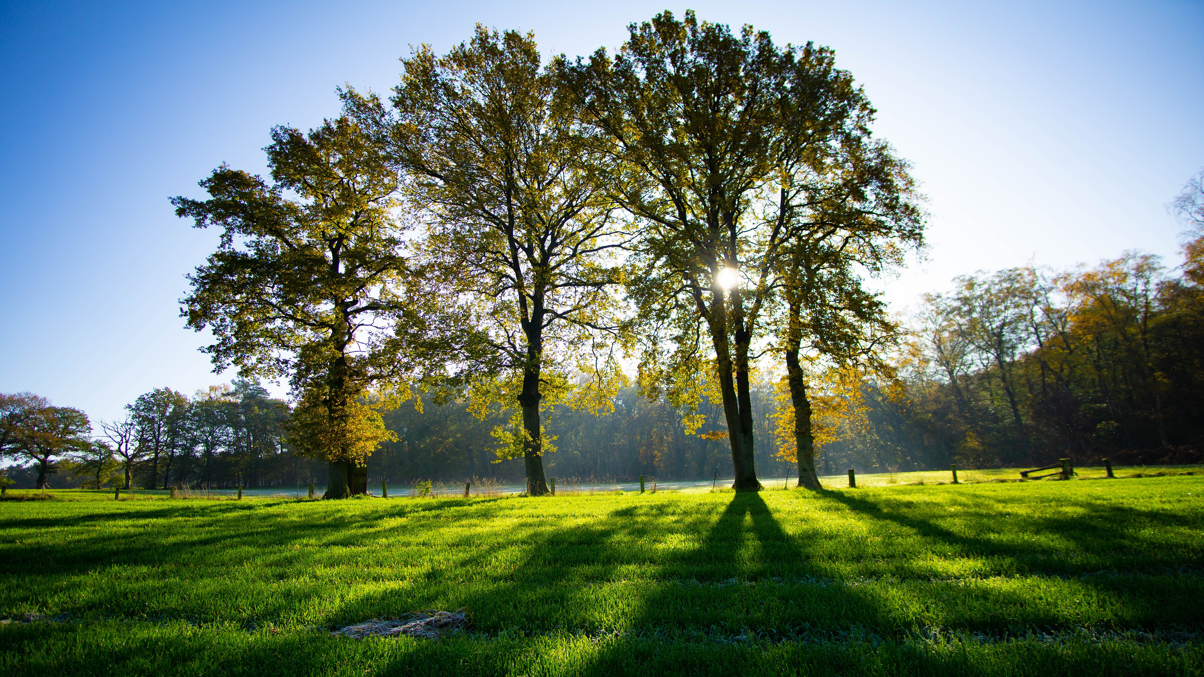 1509490 fond d'écran 1080x2248 sur votre téléphone gratuitement, téléchargez des images  1080x2248 sur votre mobile