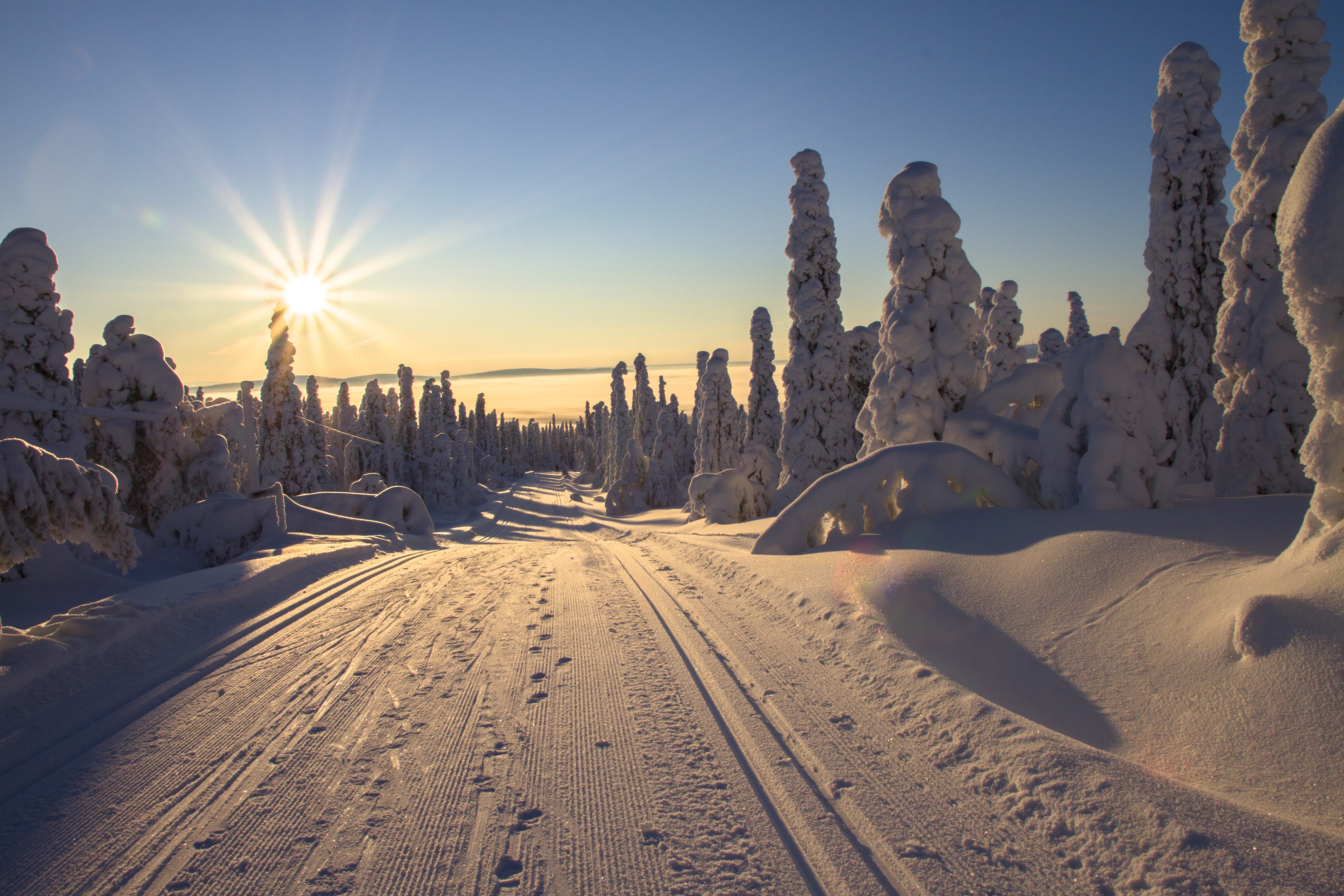 948616壁紙のダウンロード地球, 冬, フィンランド, 自然, 道, 雪, 太陽, サンビーム-スクリーンセーバーと写真を無料で