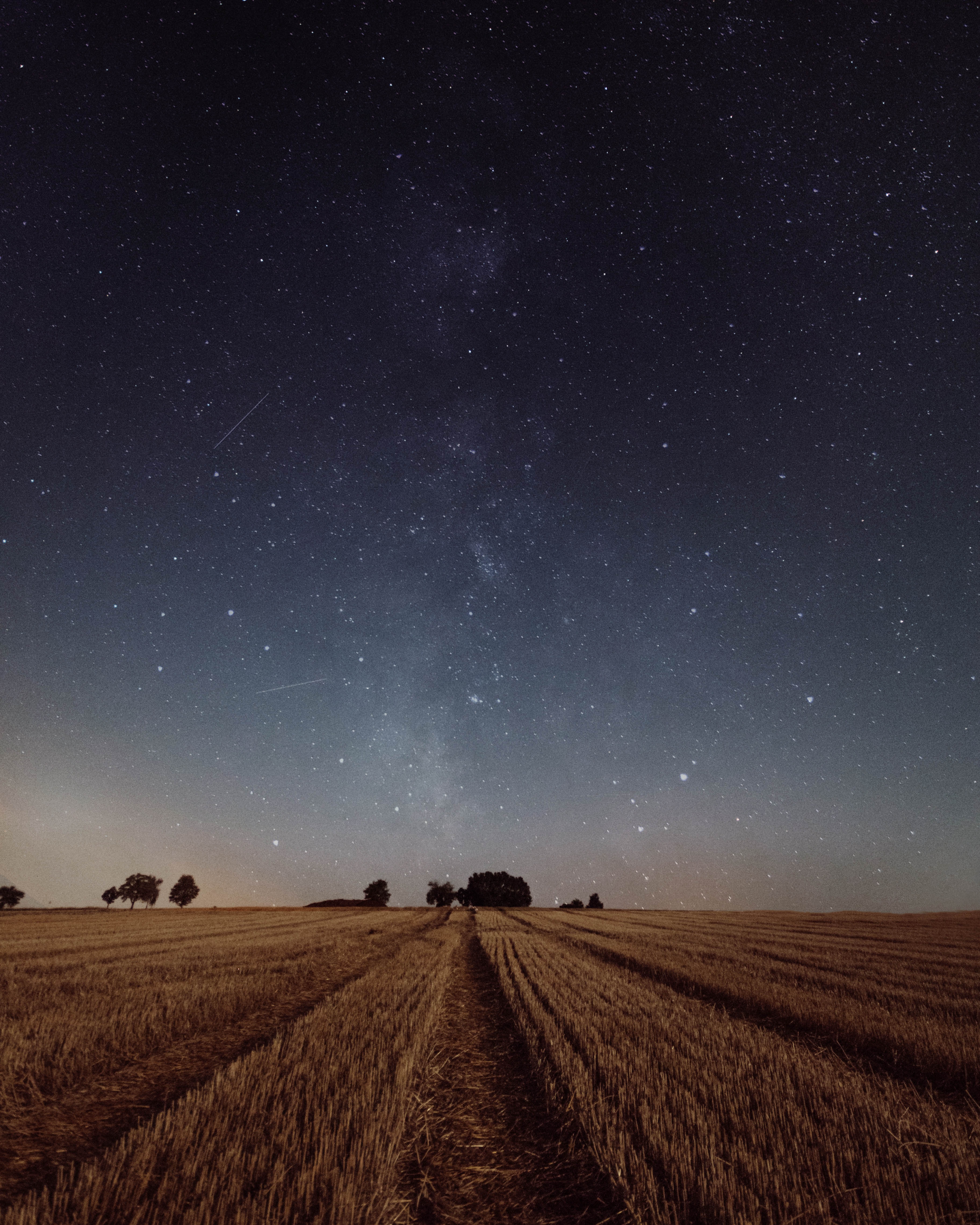 Download mobile wallpaper Grass, Field, Dusk, Trees, Twilight, Nature, Starry Sky, Night for free.