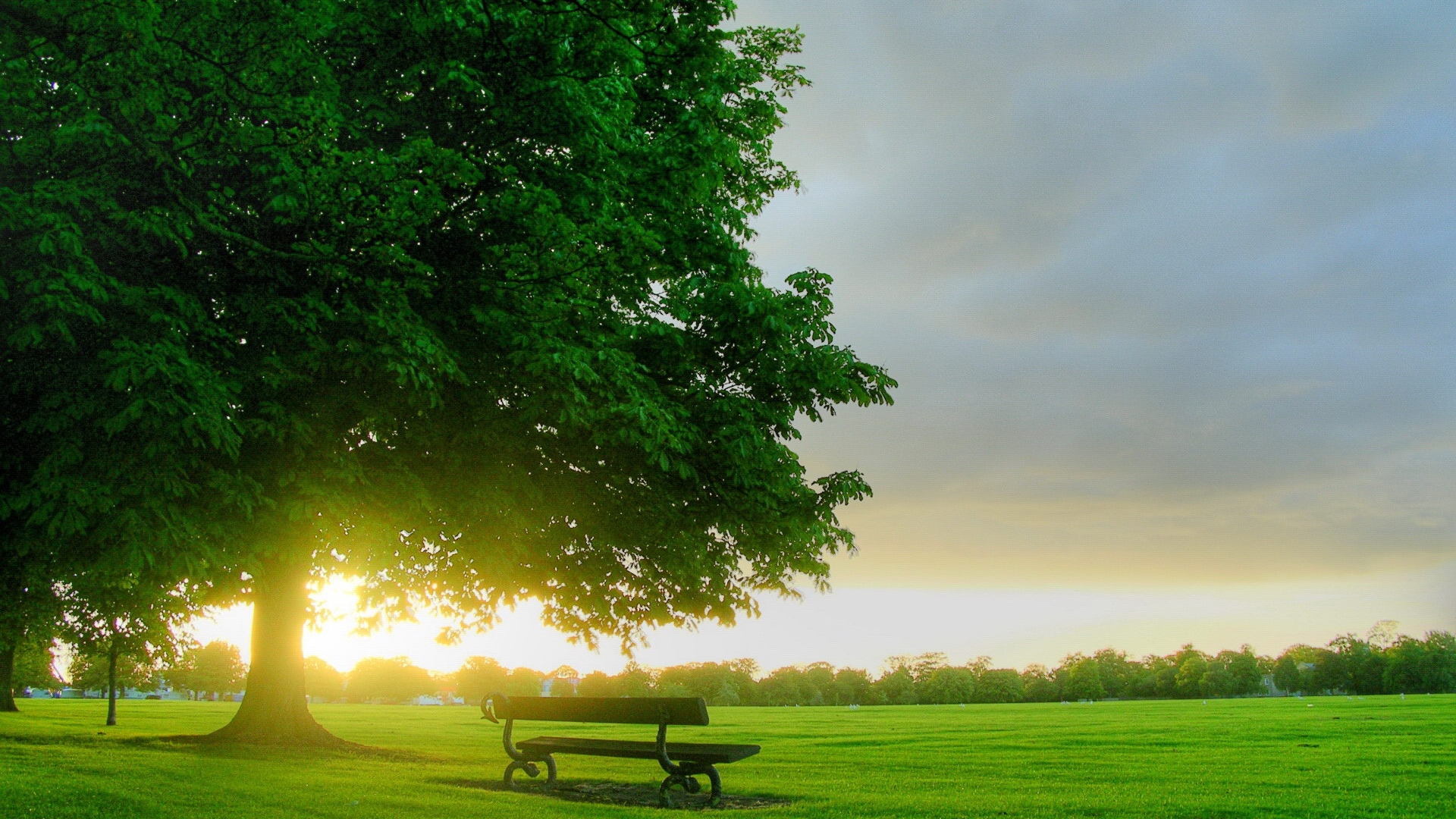 Download mobile wallpaper Nature, Park, Tree, Sunrise, Earth, Field, Bench, Man Made for free.