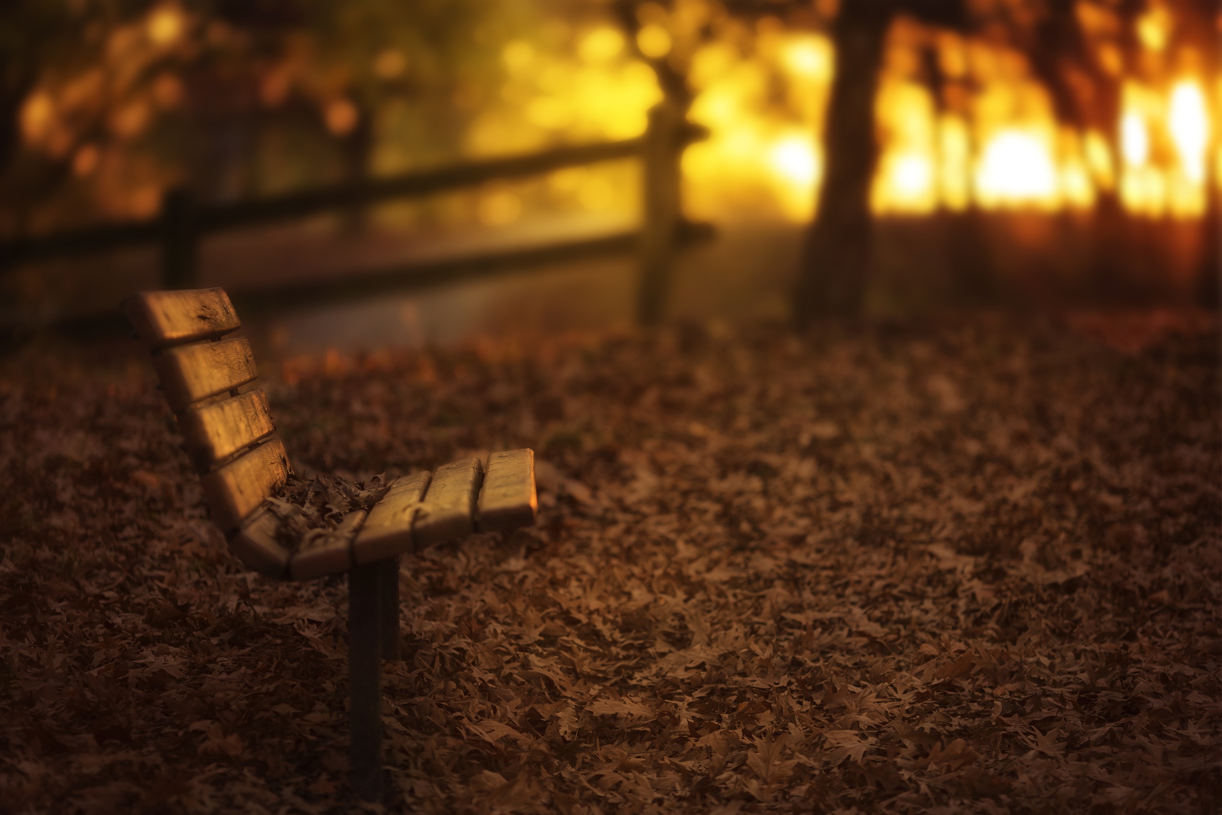 Free download wallpaper Leaf, Fall, Bench, Man Made, Depth Of Field on your PC desktop