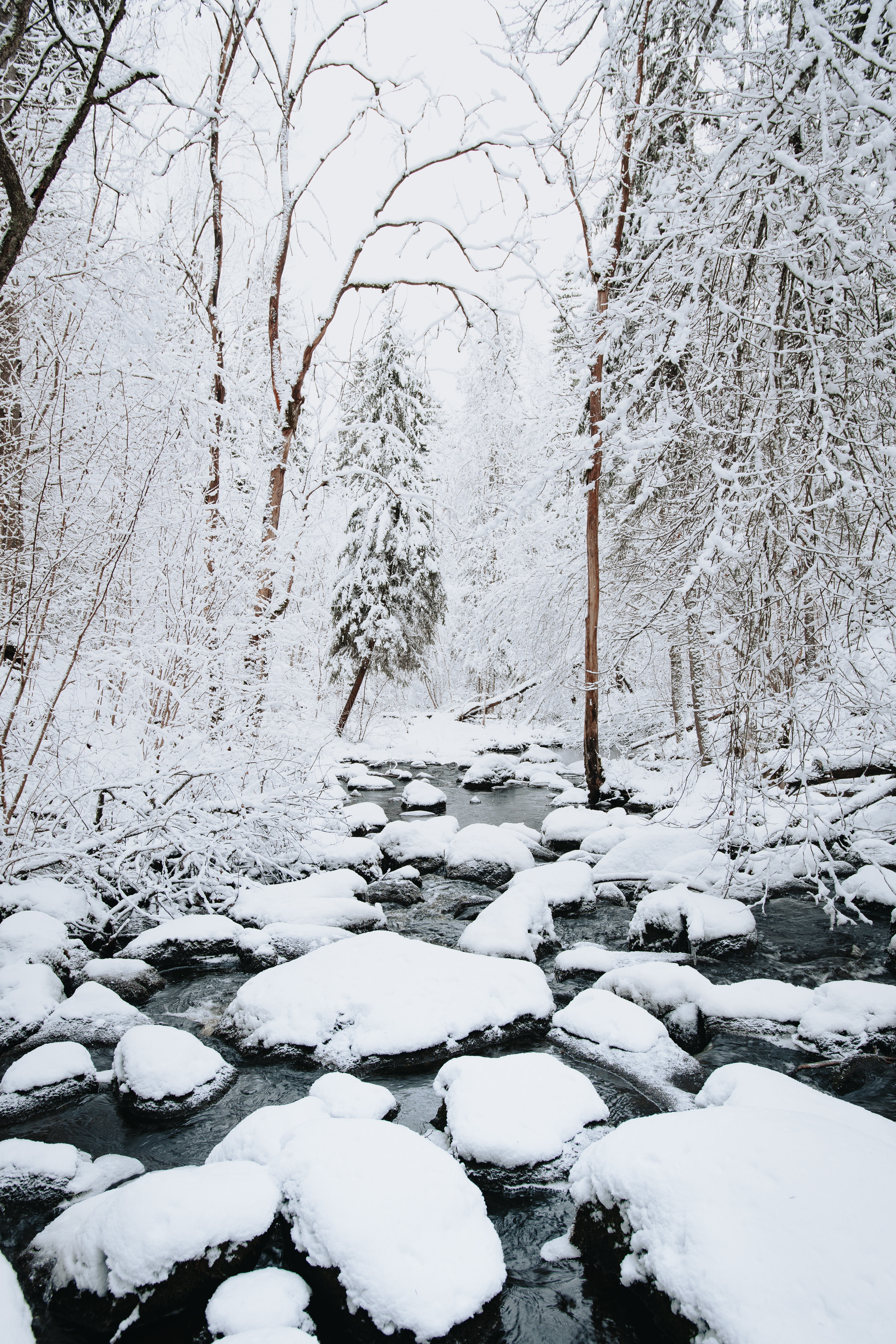 無料モバイル壁紙風景, 川, 木, 雪, 自然, 冬をダウンロードします。