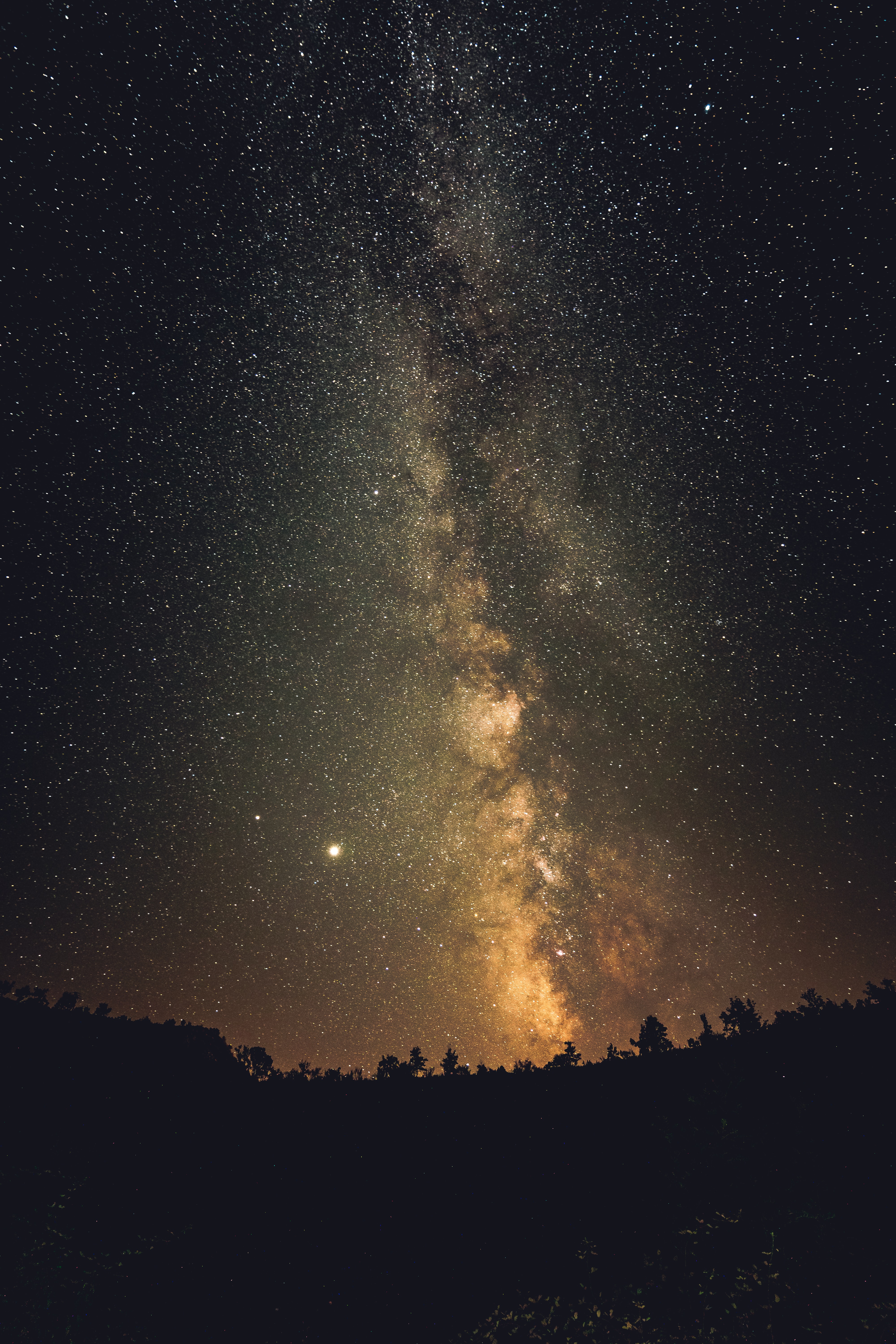 Free download wallpaper Stars, Trees, Night, Dark, Silhouettes, Milky Way on your PC desktop