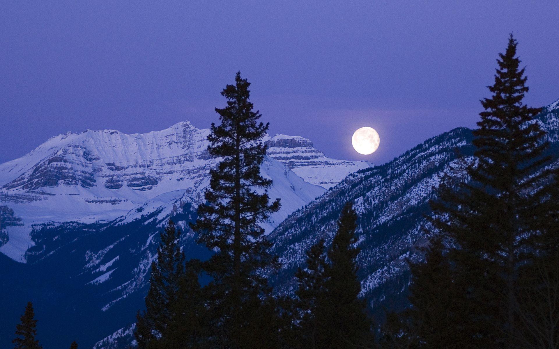 Download mobile wallpaper Winter, Nature, Night, Moon, Mountain, Tree, Earth for free.