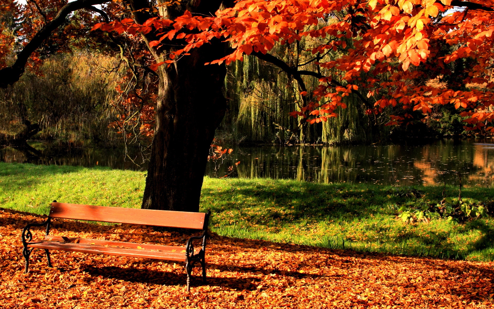 Free download wallpaper Nature, Leaf, Fall, Bench, Man Made on your PC desktop