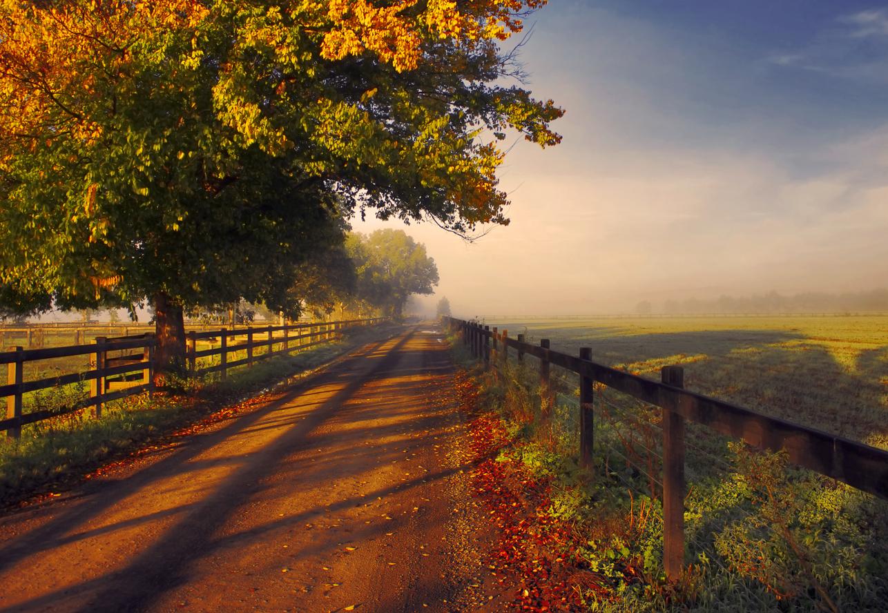 dirt road, fall, photography, fence