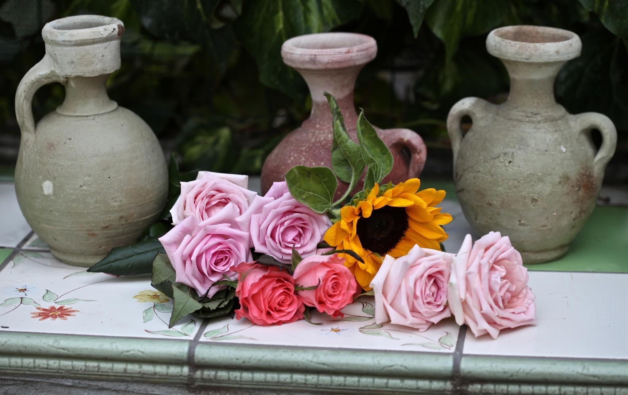 85689 завантажити шпалери квіти, рози, латаття, соняшник, плитка, кахель - заставки і картинки безкоштовно