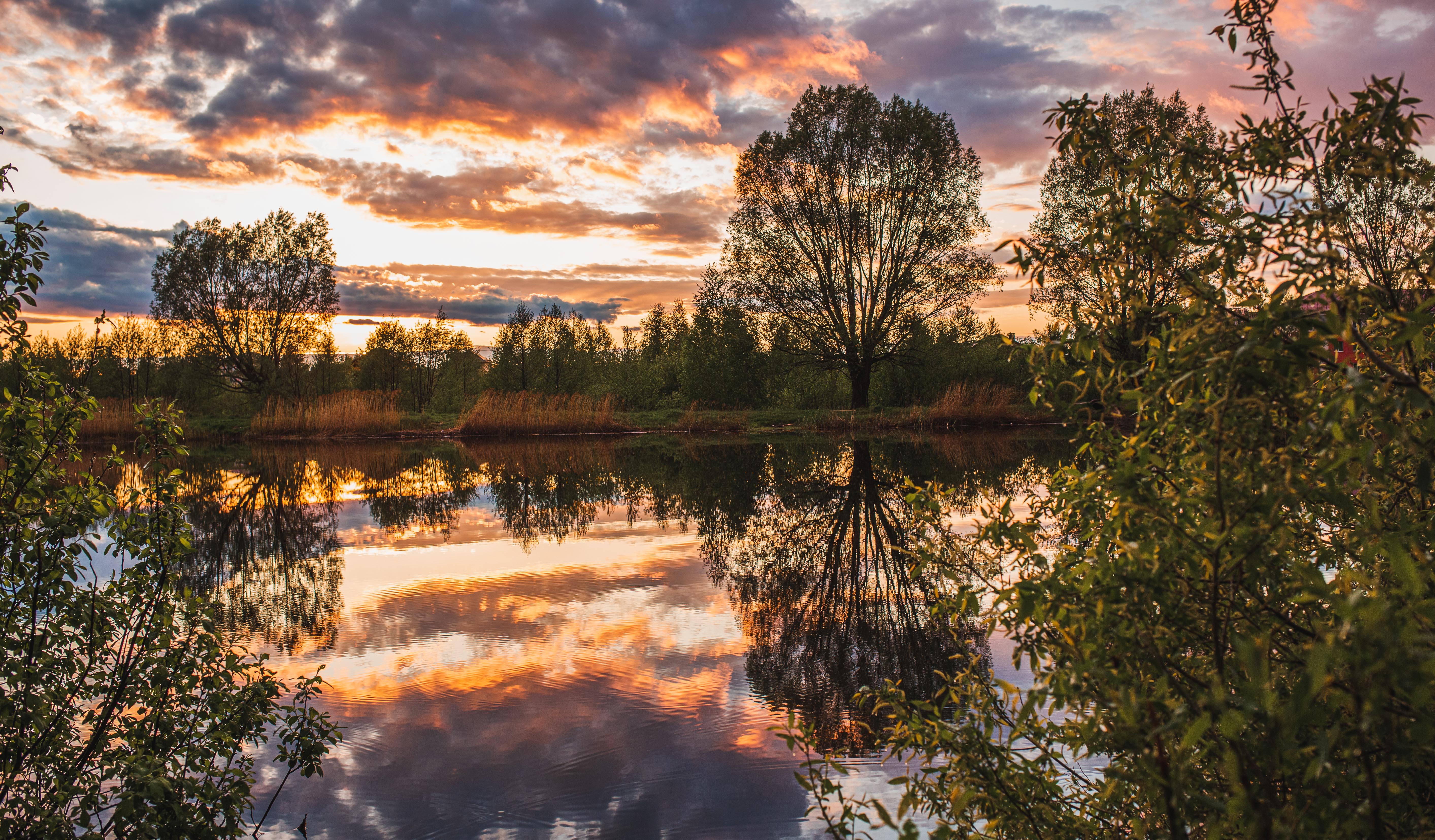 Free download wallpaper Landscape, Sunset, Reflection, Tree, Earth, Pond on your PC desktop